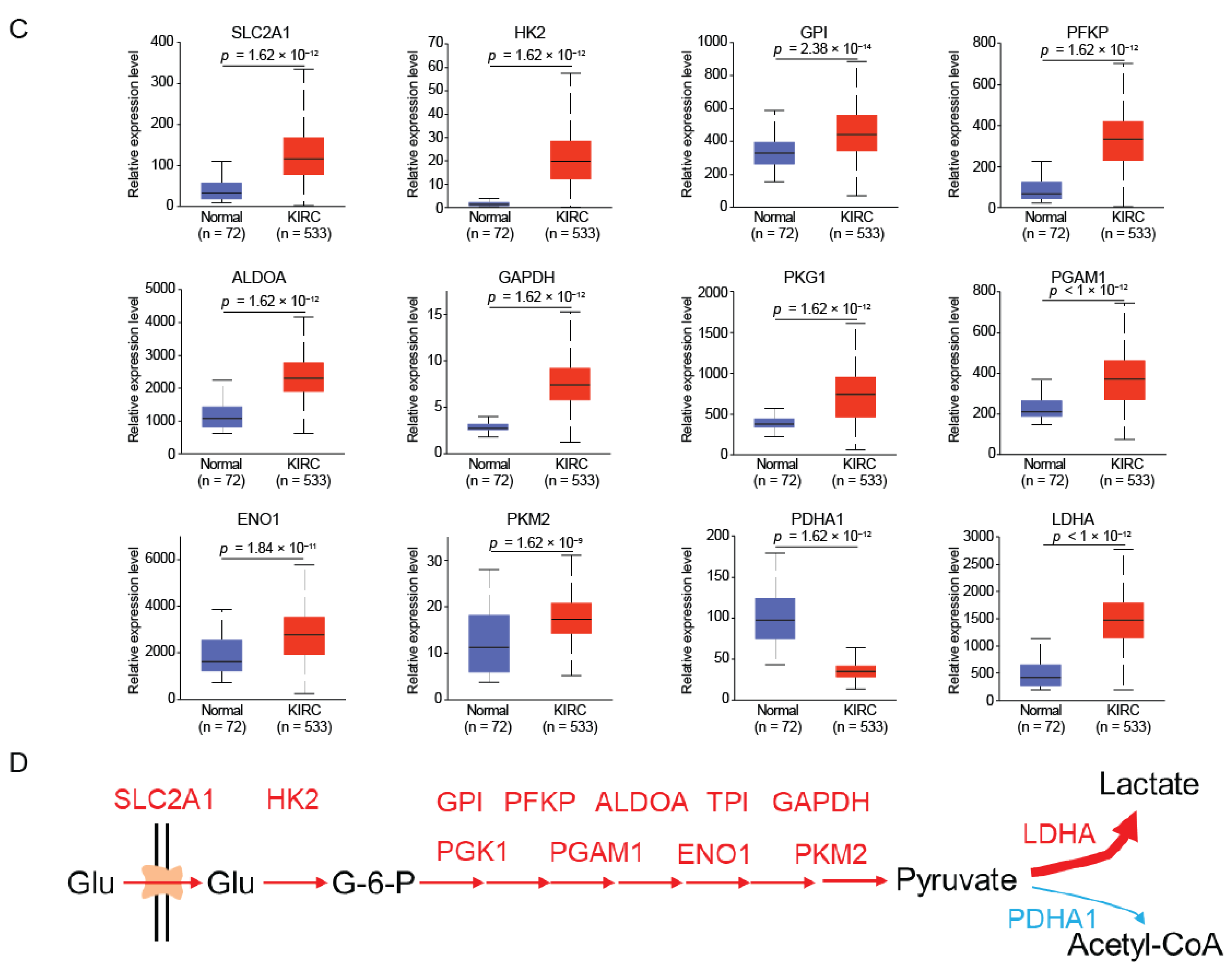 Ijms 23 04583 g003b Ijms 23 04583 g003b