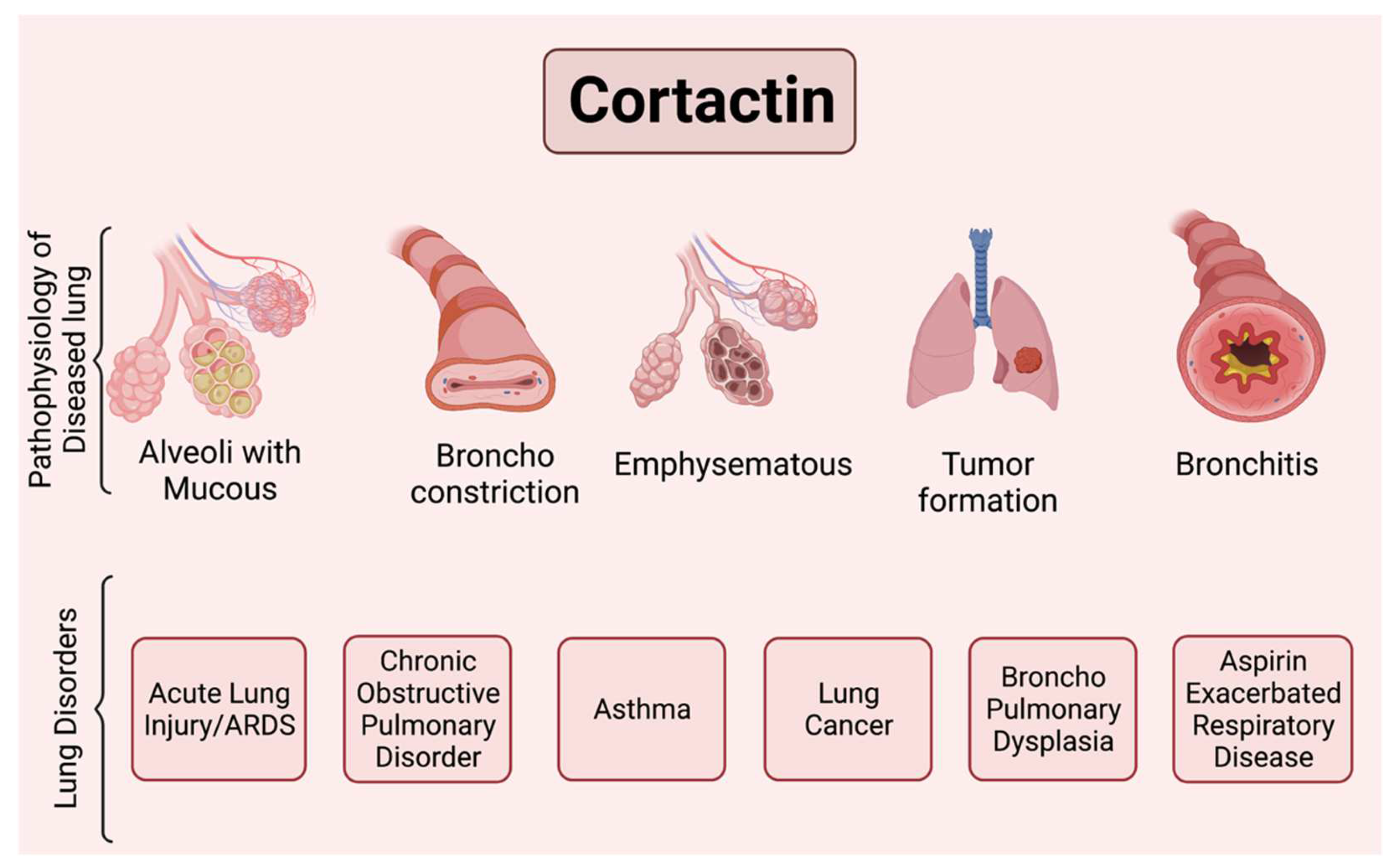 Ijms 23 04606 g003 Ijms 23 04606 g003