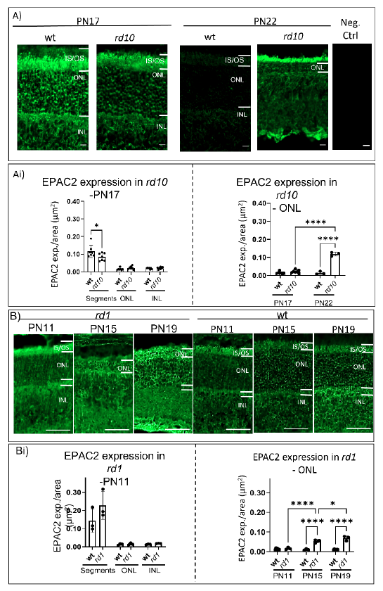 Ijms 23 04619 g002 Ijms 23 04619 g002