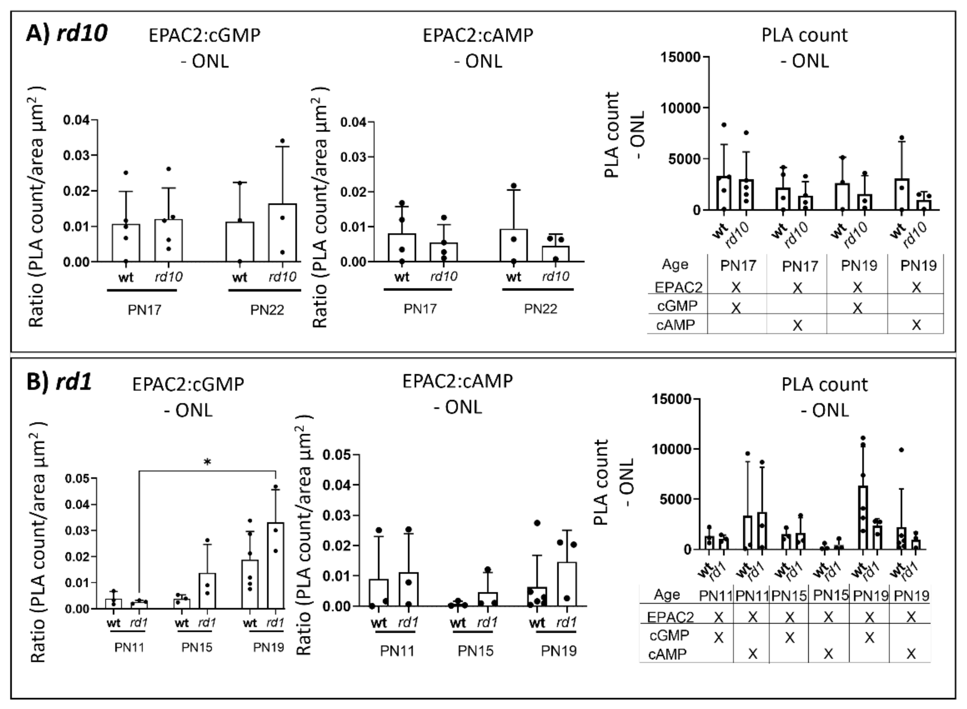 Ijms 23 04619 g005 Ijms 23 04619 g005