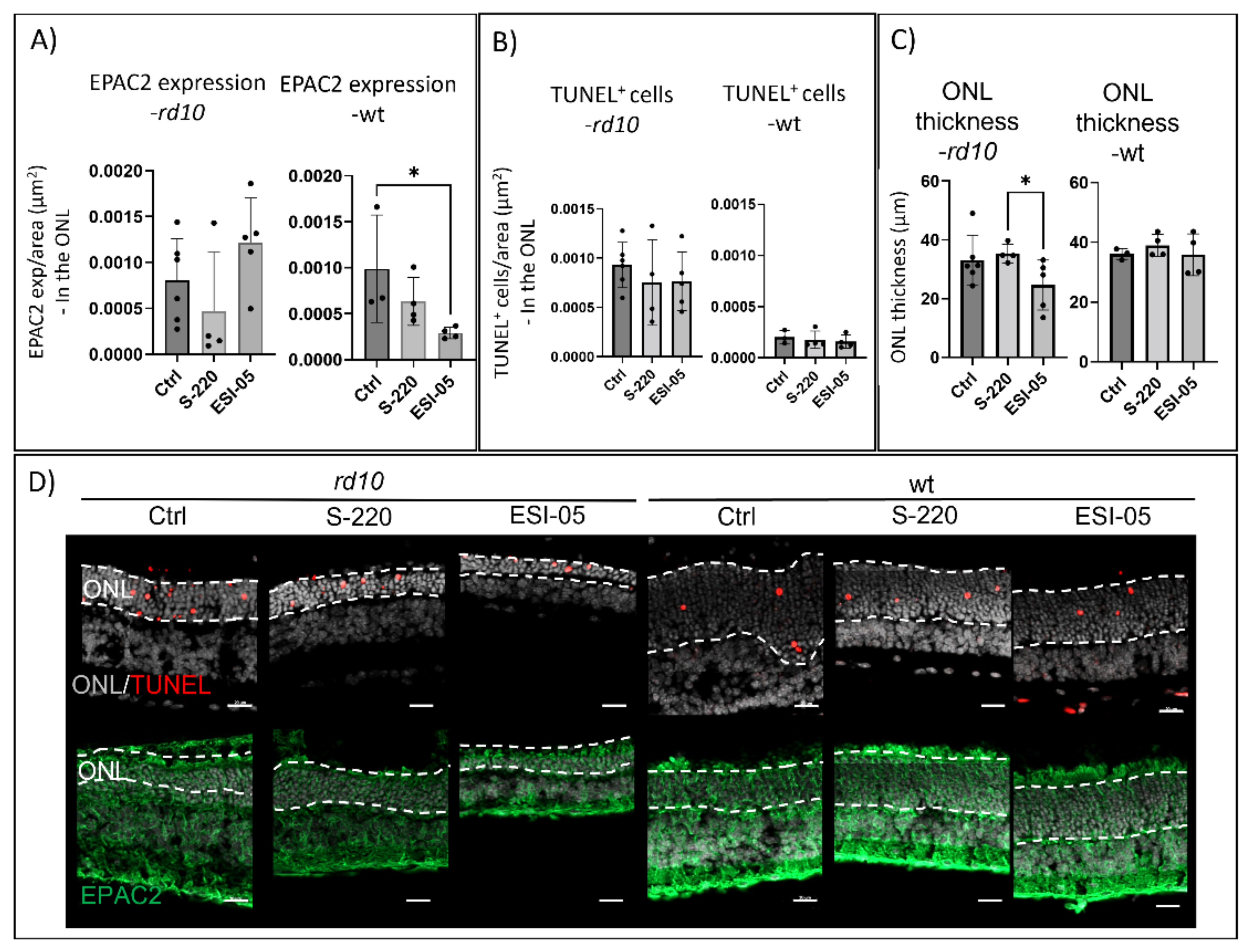 Ijms 23 04619 g006 Ijms 23 04619 g006