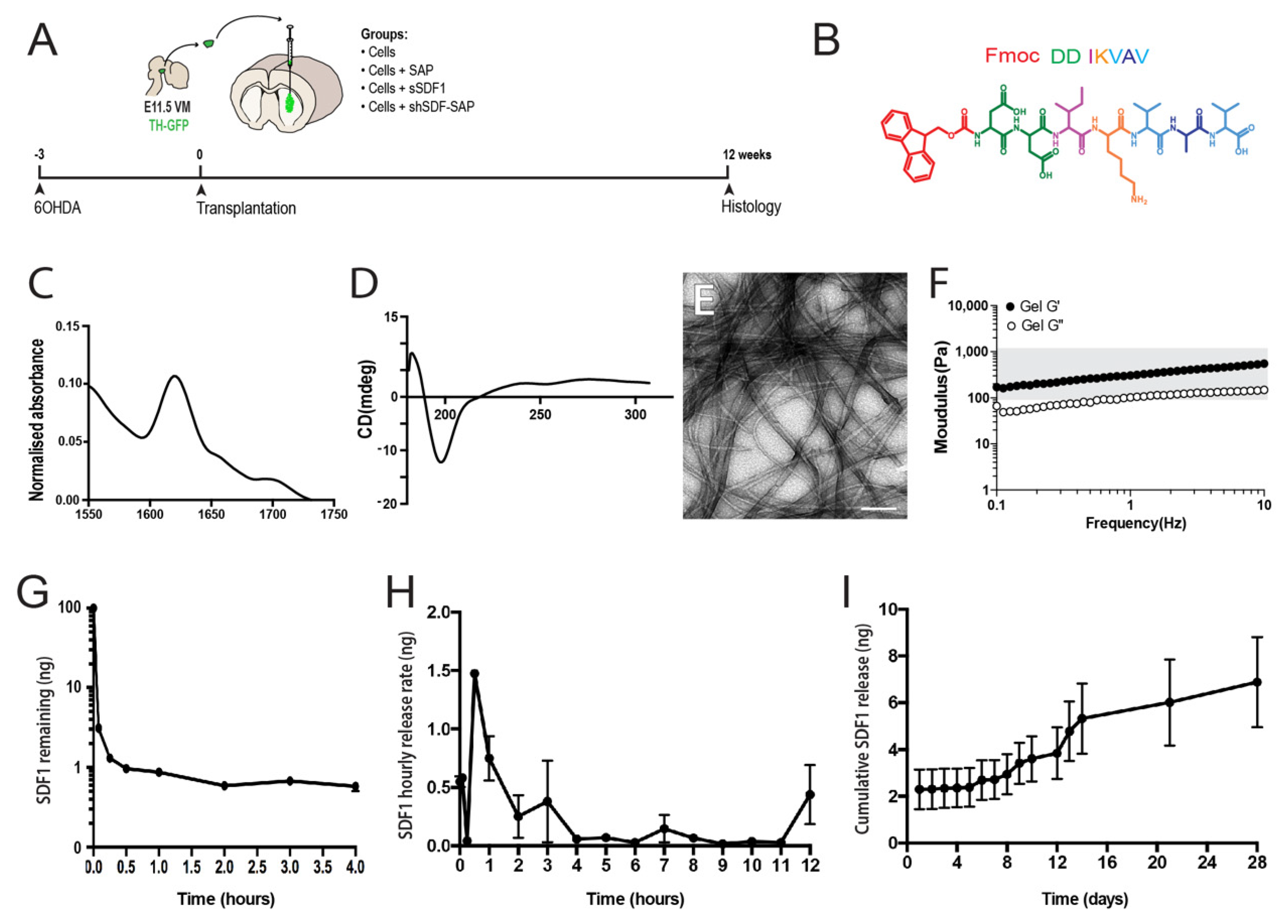 Ijms 23 04646 g001 Ijms 23 04646 g001