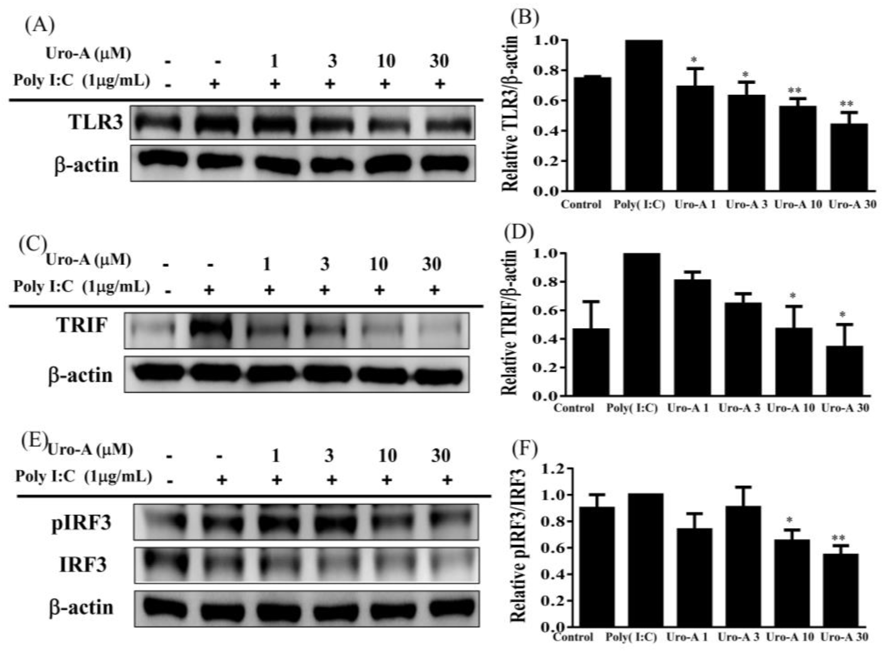 Ijms 23 04697 g002 Ijms 23 04697 g002