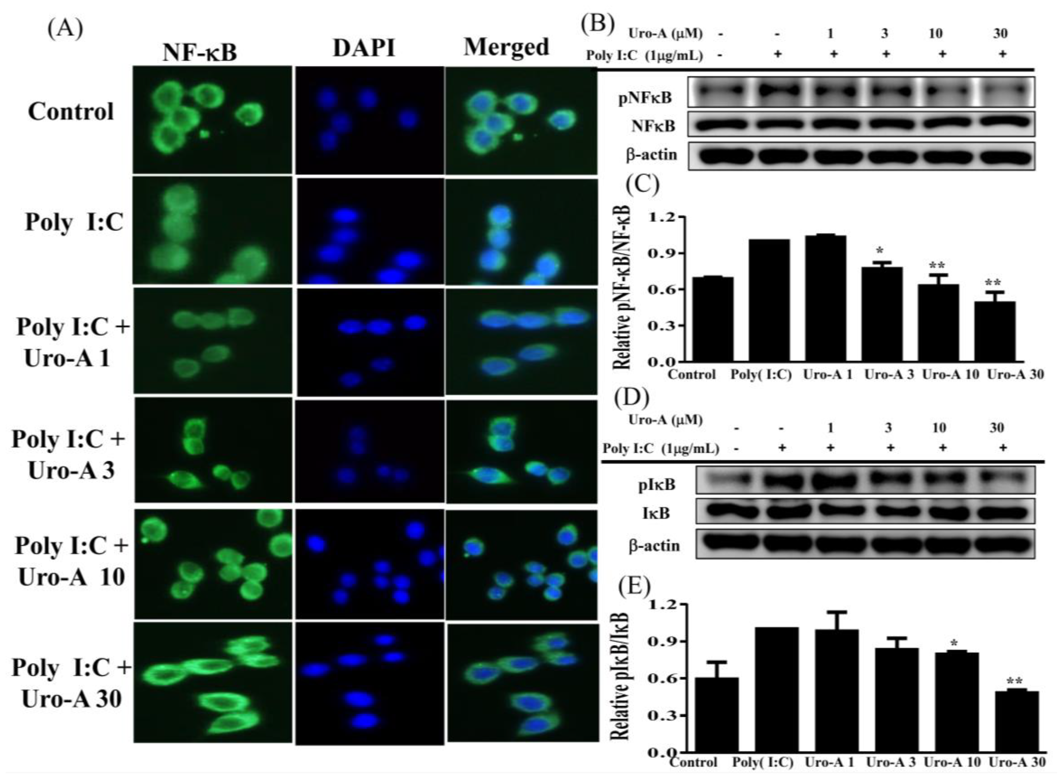 Ijms 23 04697 g003 Ijms 23 04697 g003