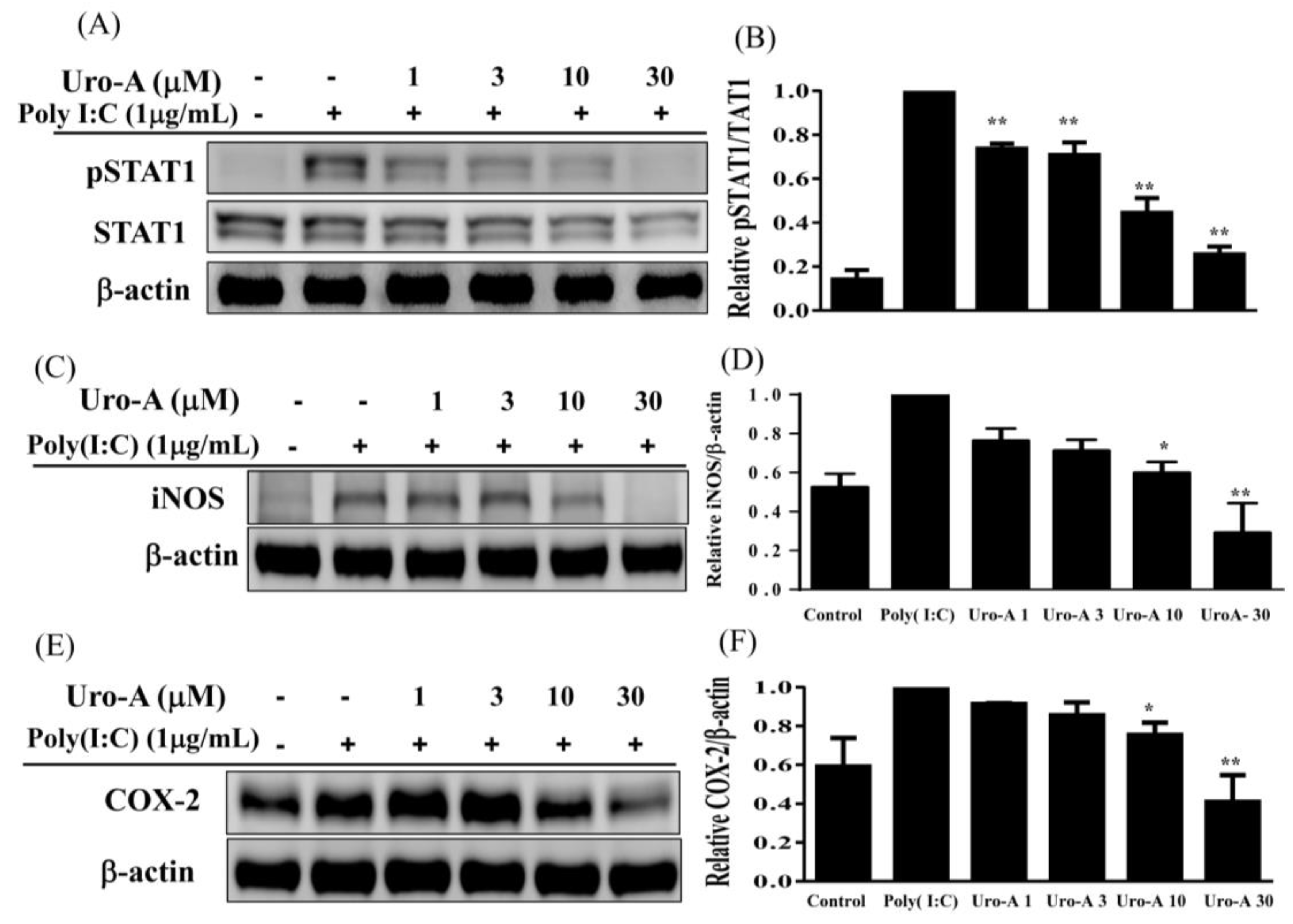 Ijms 23 04697 g004 Ijms 23 04697 g004