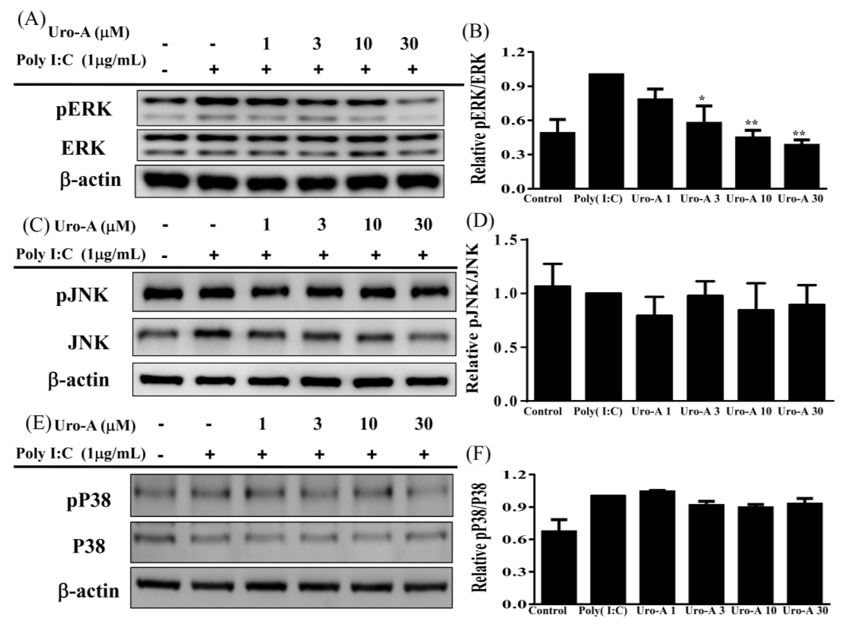 Ijms 23 04697 g005 Ijms 23 04697 g005
