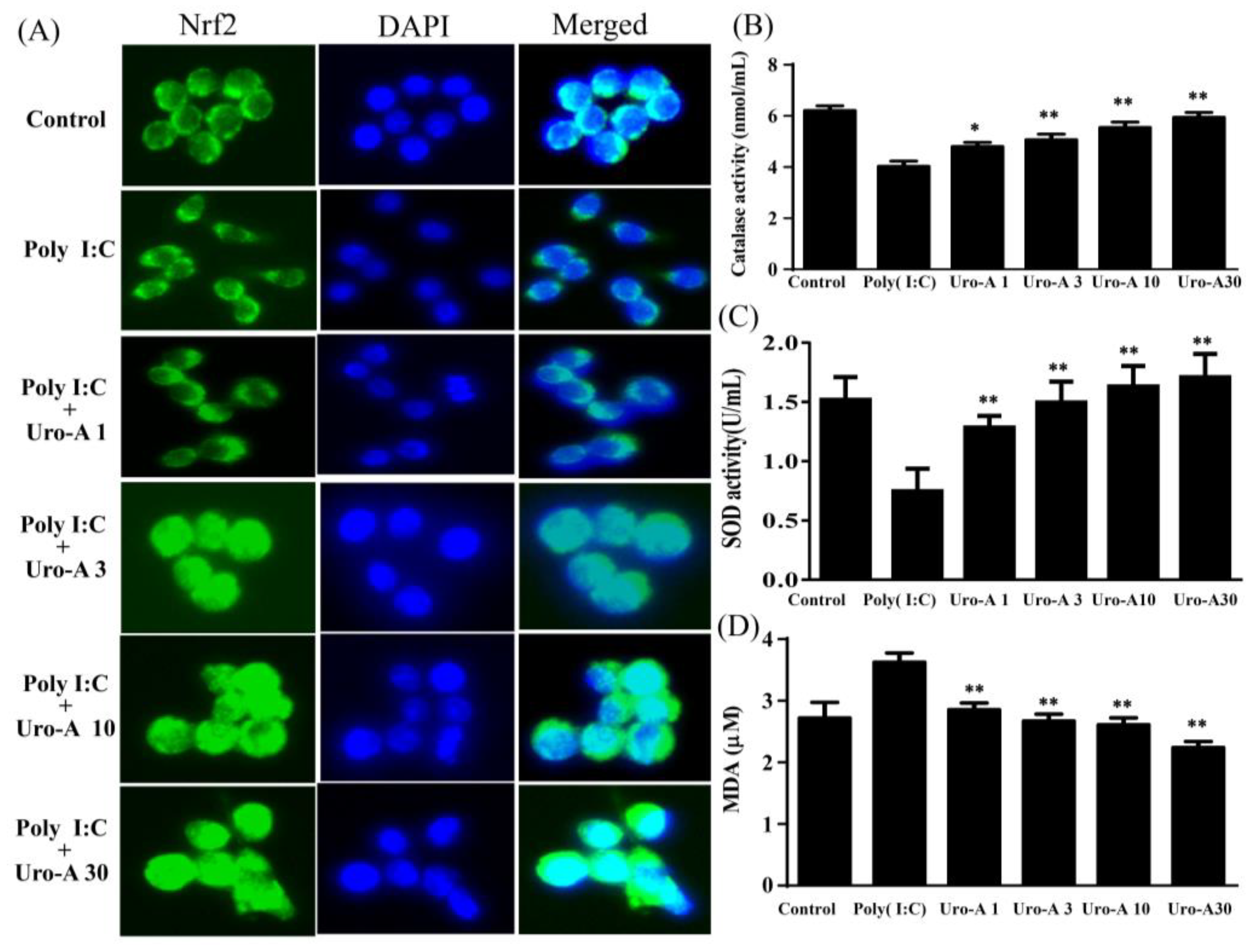 Ijms 23 04697 g007 Ijms 23 04697 g007