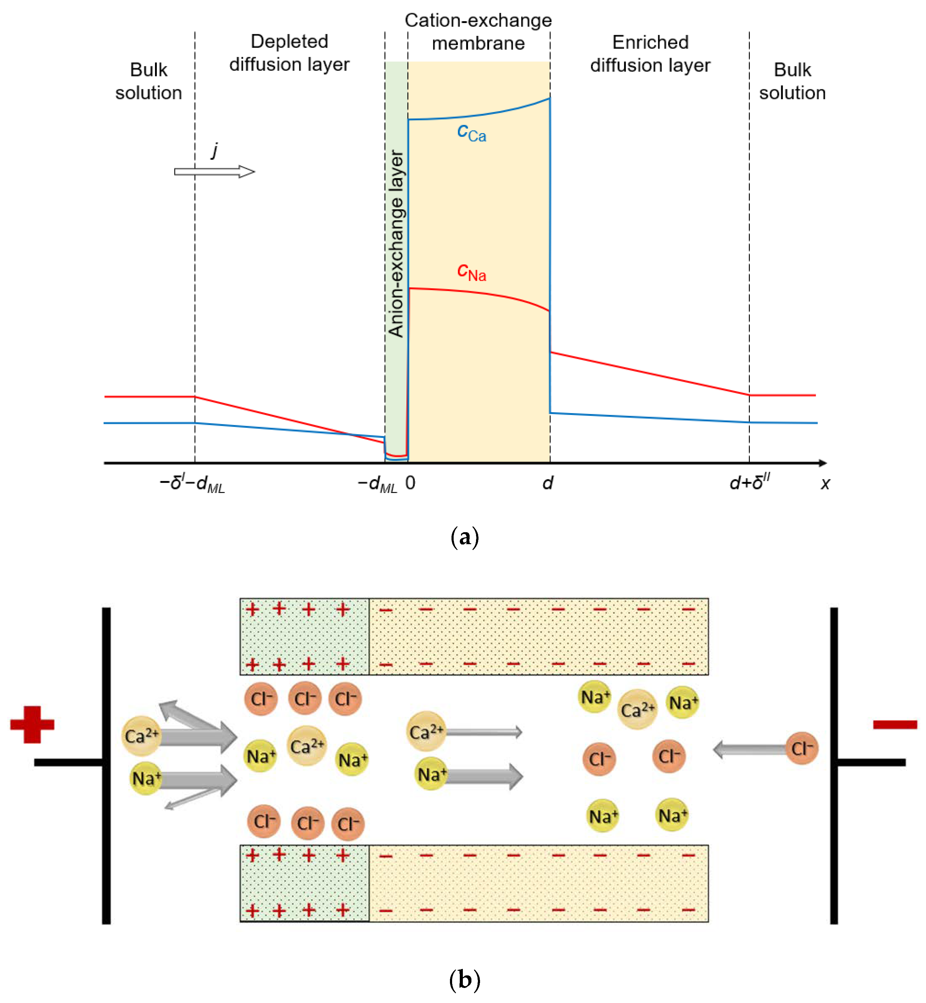 Ijms 23 04711 g001 Ijms 23 04711 g001