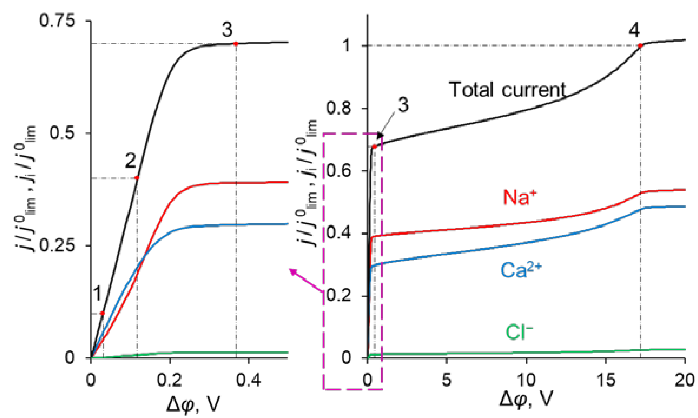 Ijms 23 04711 g003 Ijms 23 04711 g003