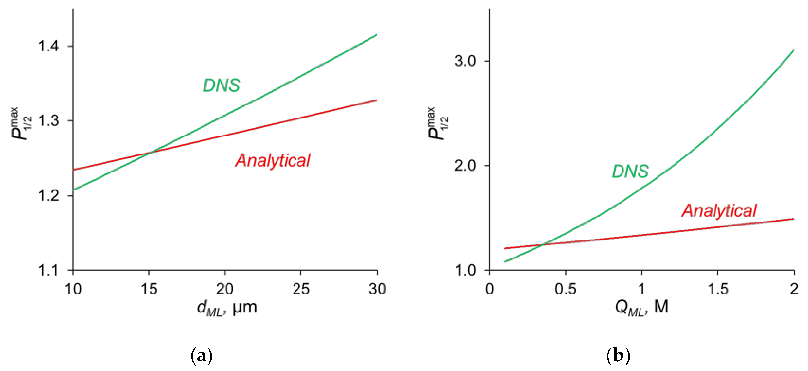 Ijms 23 04711 g007 Ijms 23 04711 g007