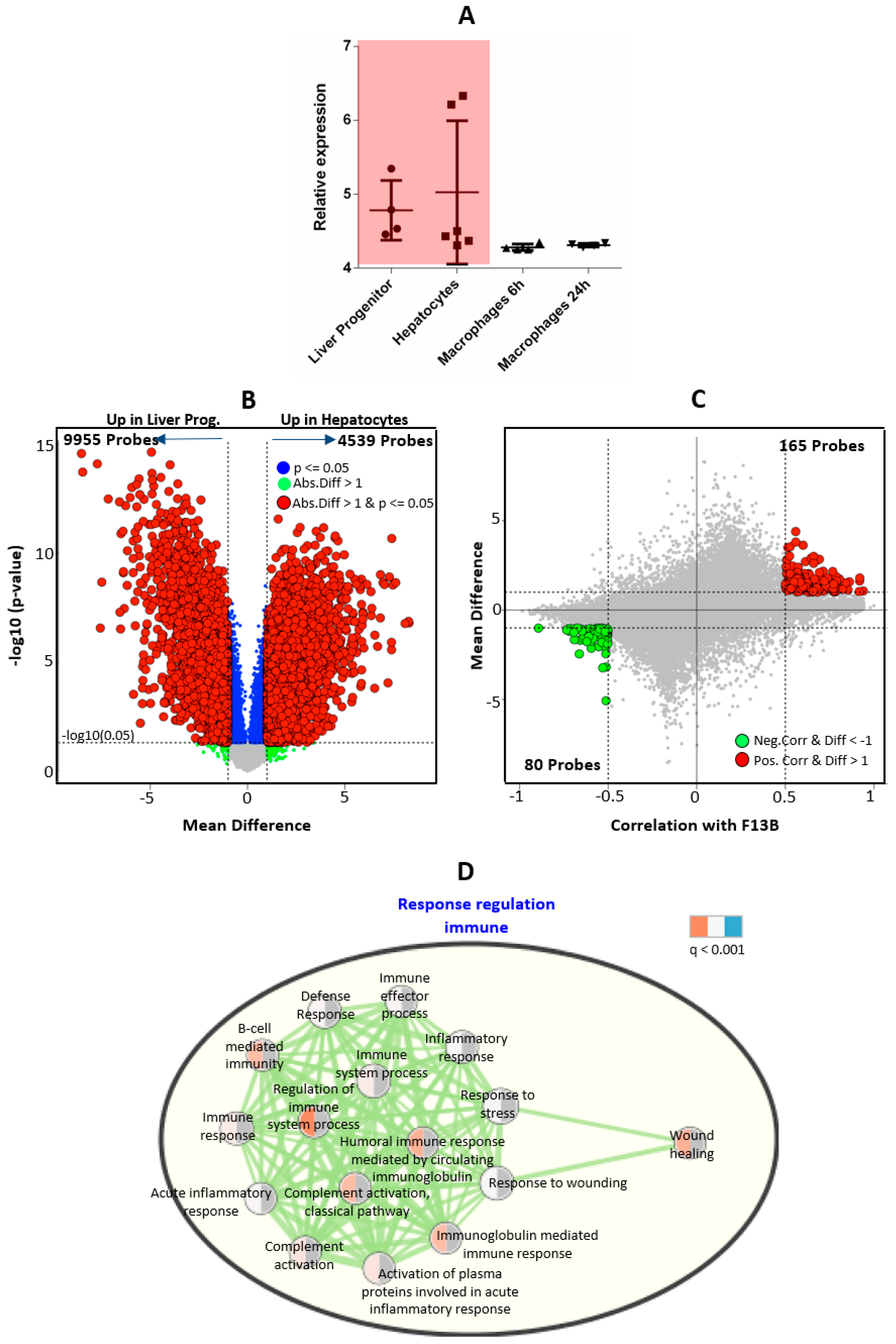 Ijms 23 04725 g002 Ijms 23 04725 g002