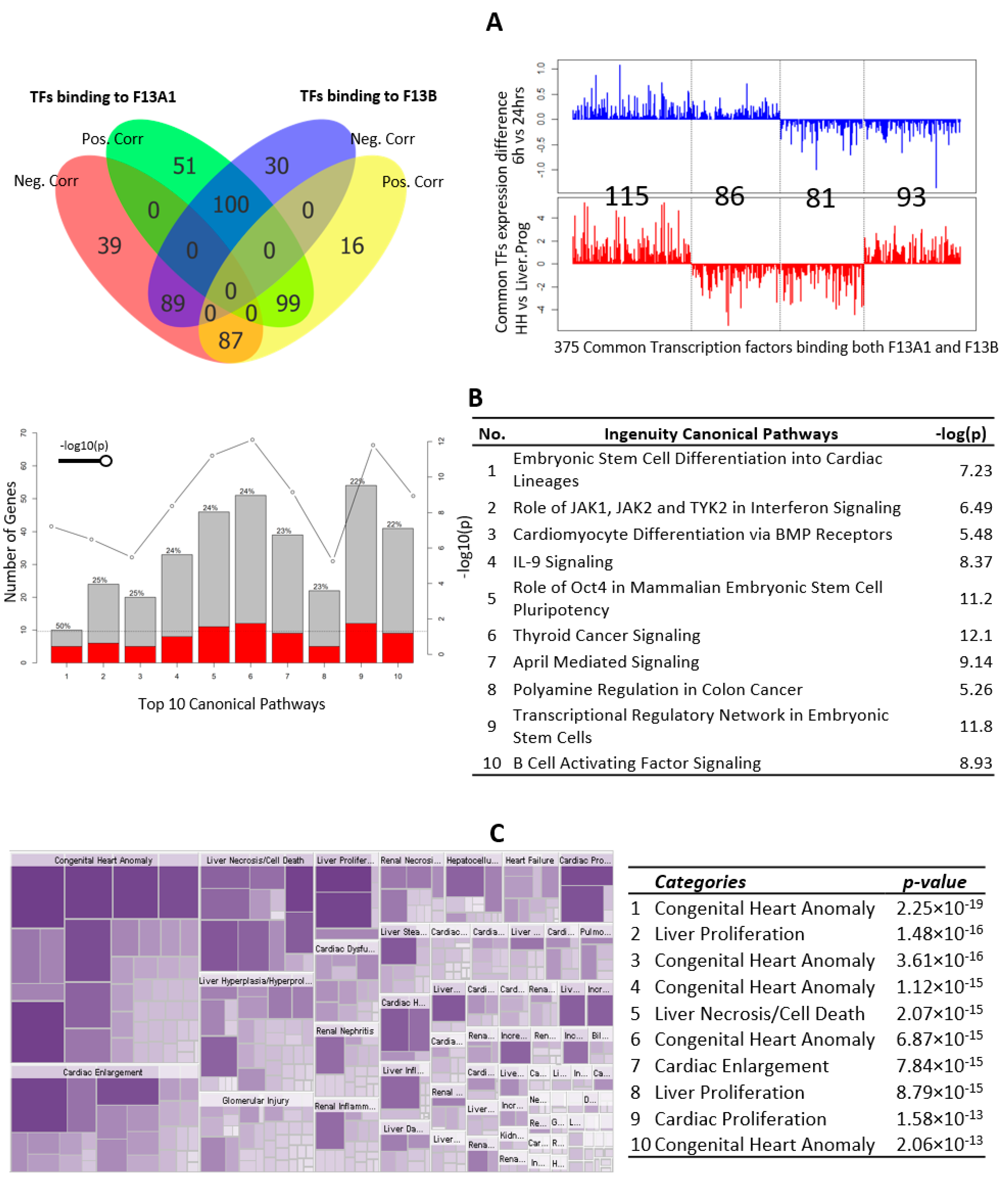 Ijms 23 04725 g004 Ijms 23 04725 g004