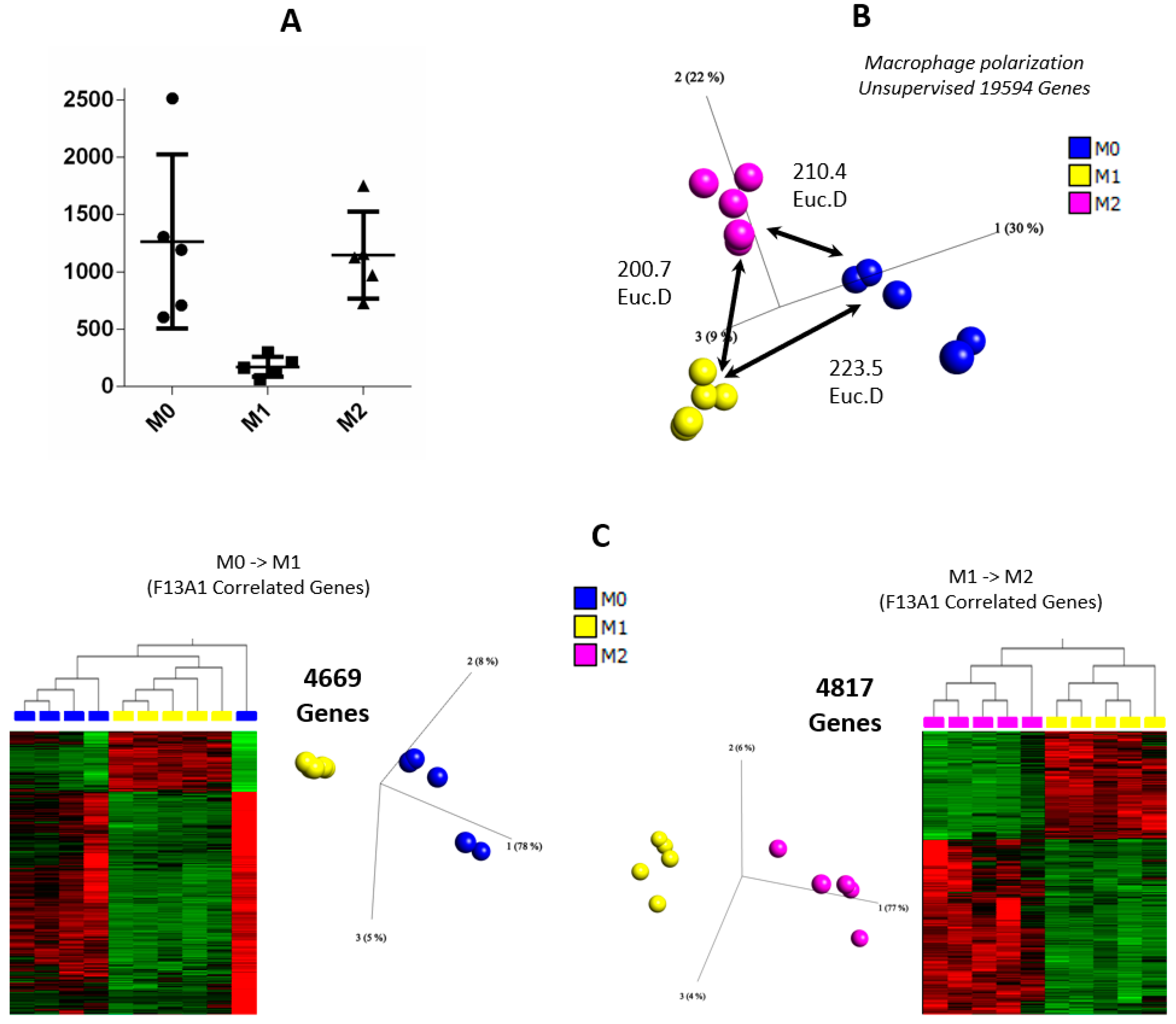 Ijms 23 04725 g005a Ijms 23 04725 g005a