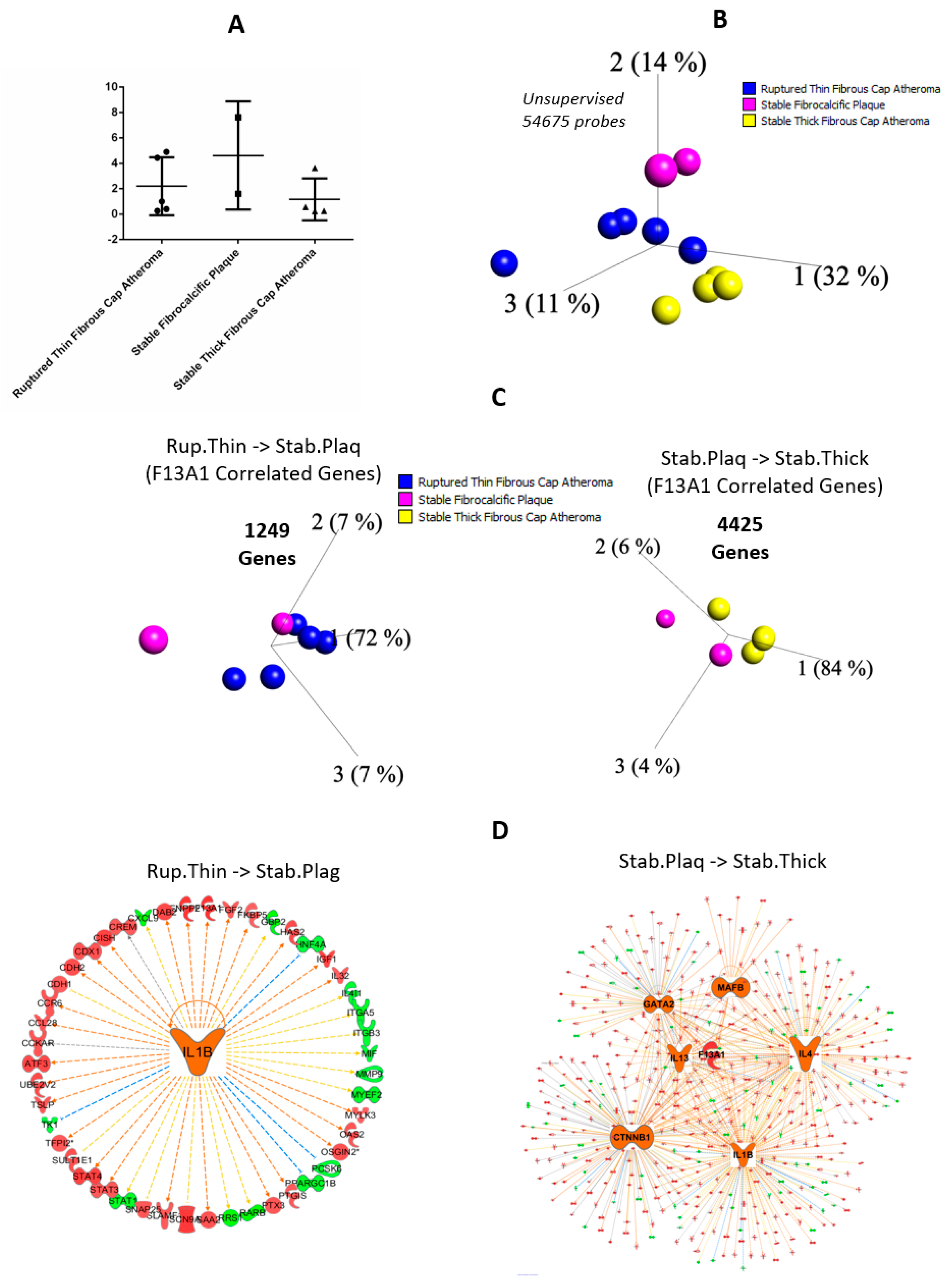 Ijms 23 04725 g006 Ijms 23 04725 g006