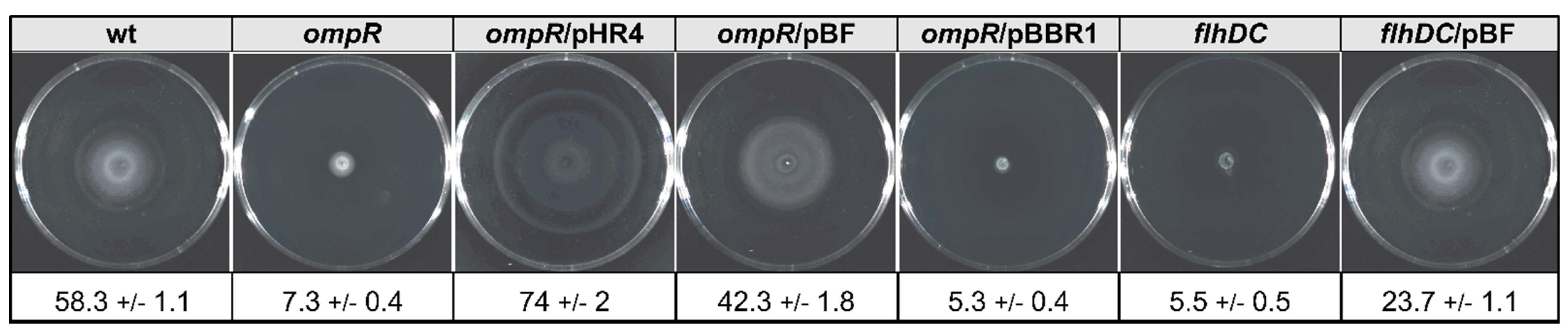 Ijms 23 04758 g008 Ijms 23 04758 g008