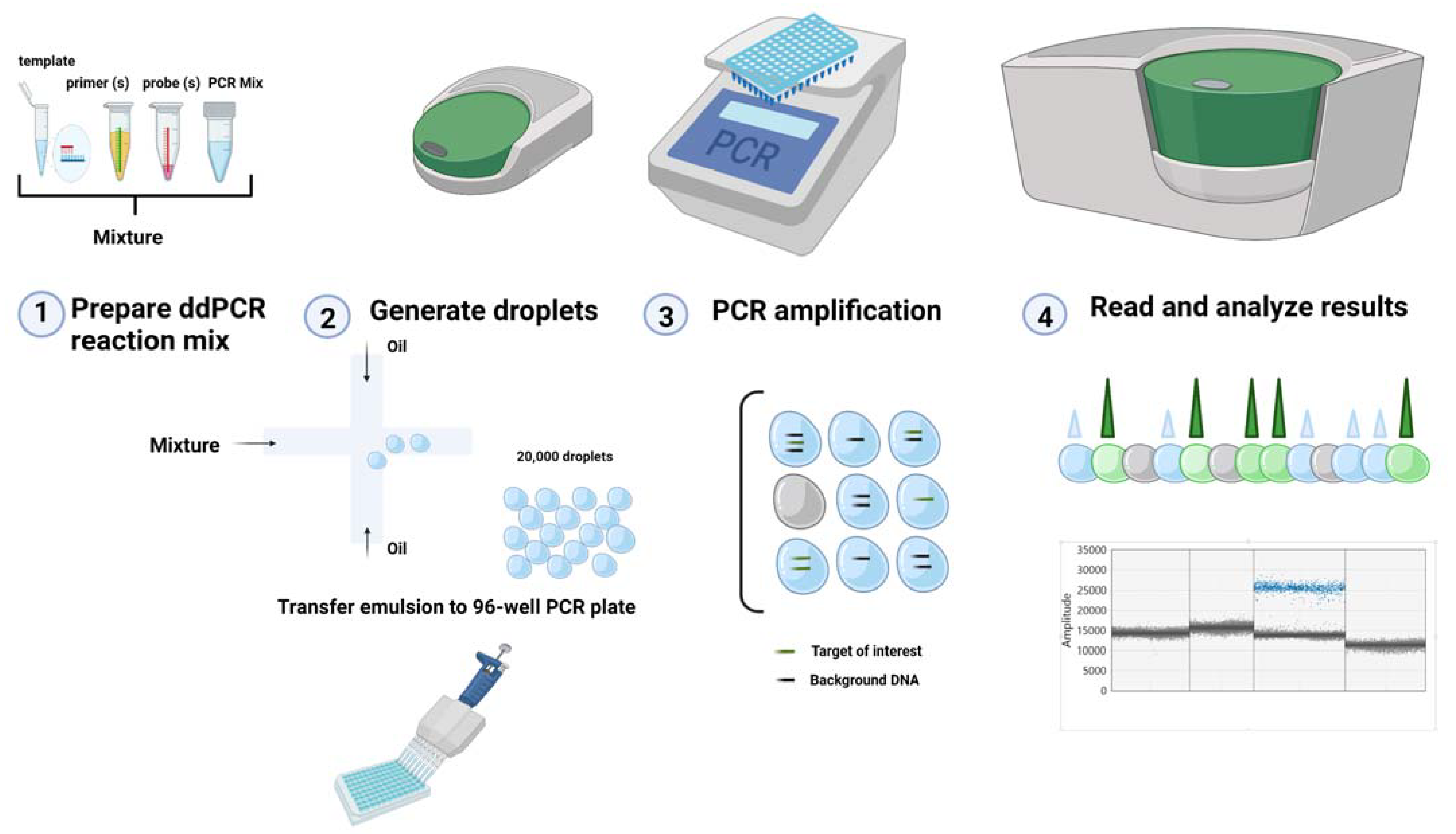 IJMS | Free Full-Text | Application of Droplet Digital PCR Technology in  Muscular Dystrophies Research
