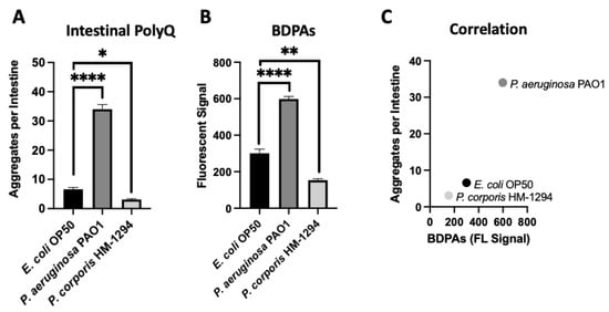 IJMS | Free Full-Text | Bacteria-Derived Protein Aggregates