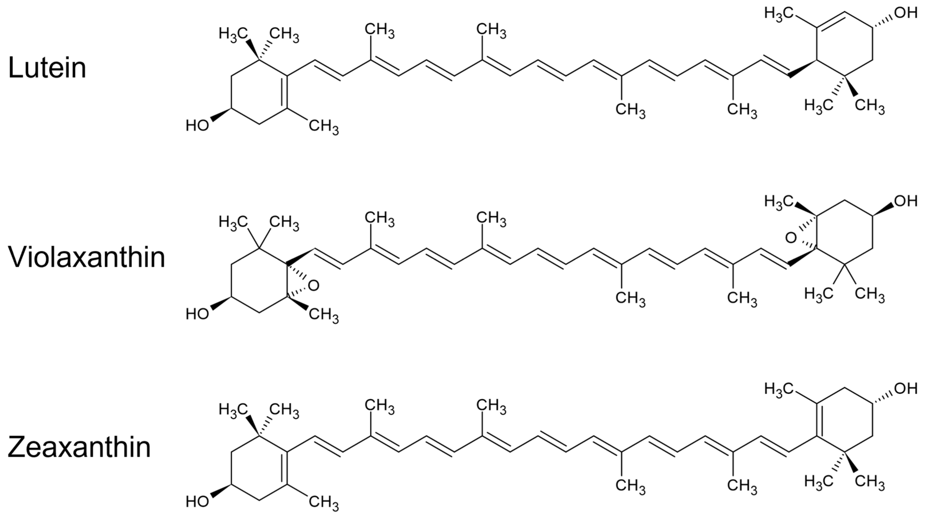 Ijms 23 04812 g006 Ijms 23 04812 g006