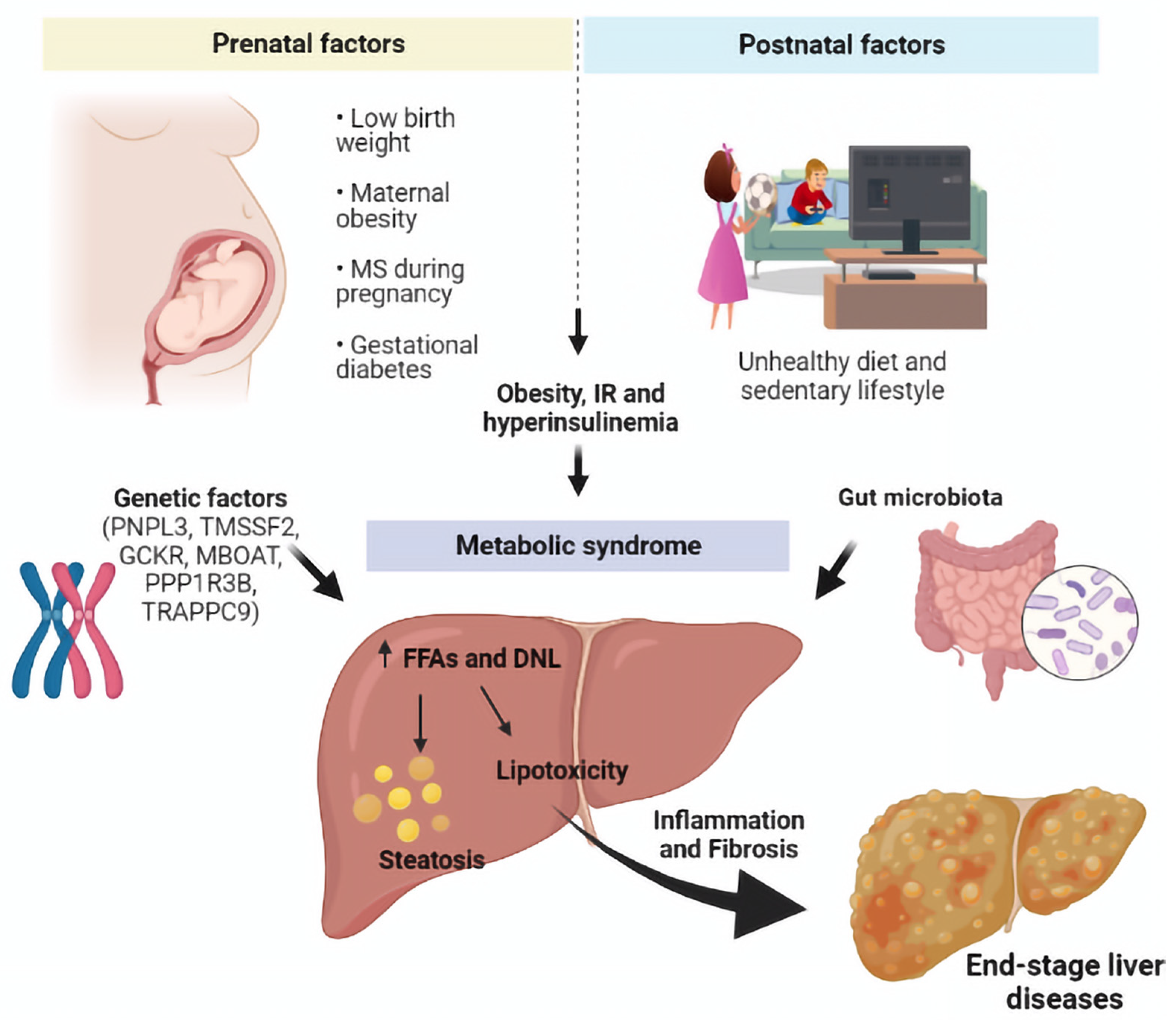Ijms 23 04822 g003 Ijms 23 04822 g003