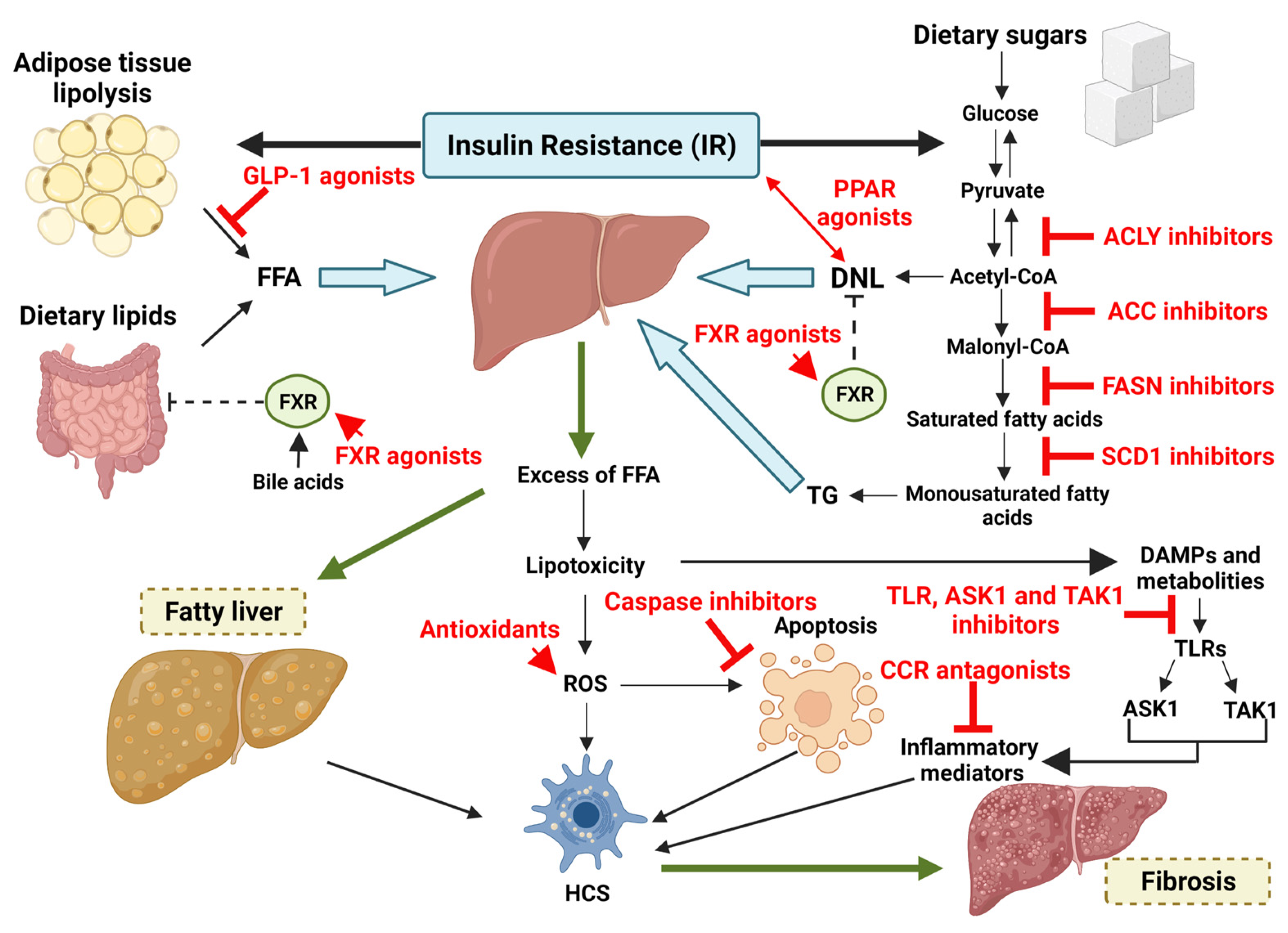 Ijms 23 04822 g004 Ijms 23 04822 g004