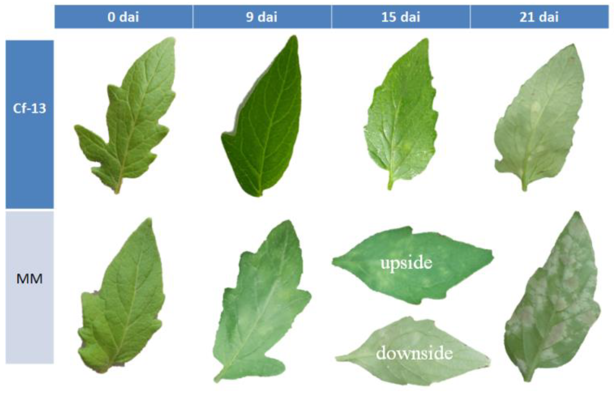 Ijms 23 04844 g001 Ijms 23 04844 g001