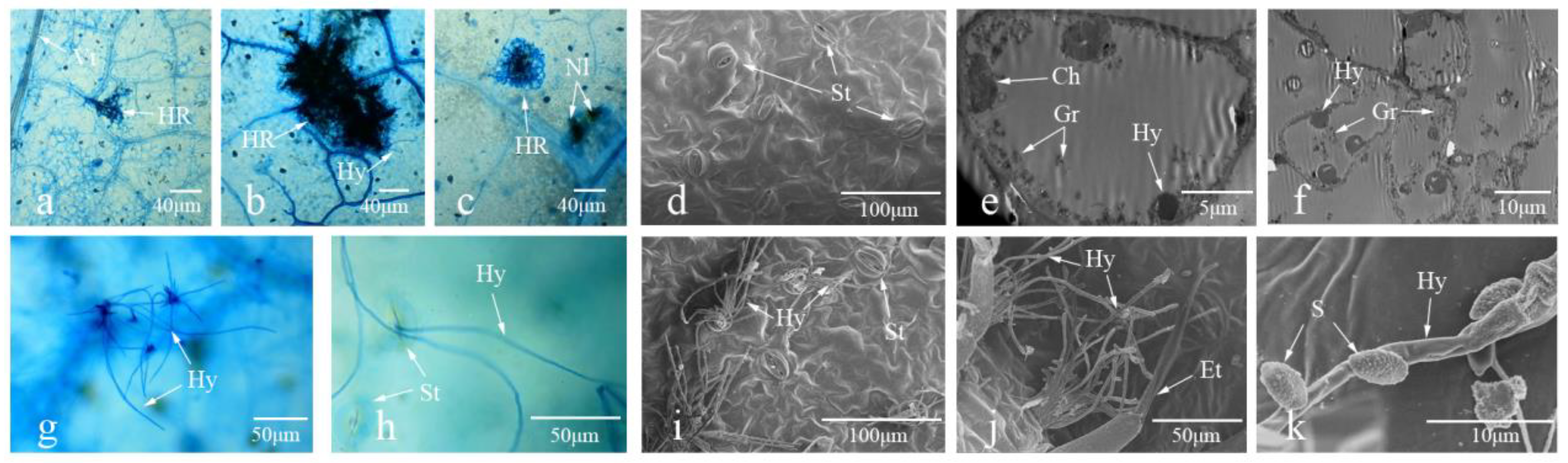 Ijms 23 04844 g002 Ijms 23 04844 g002