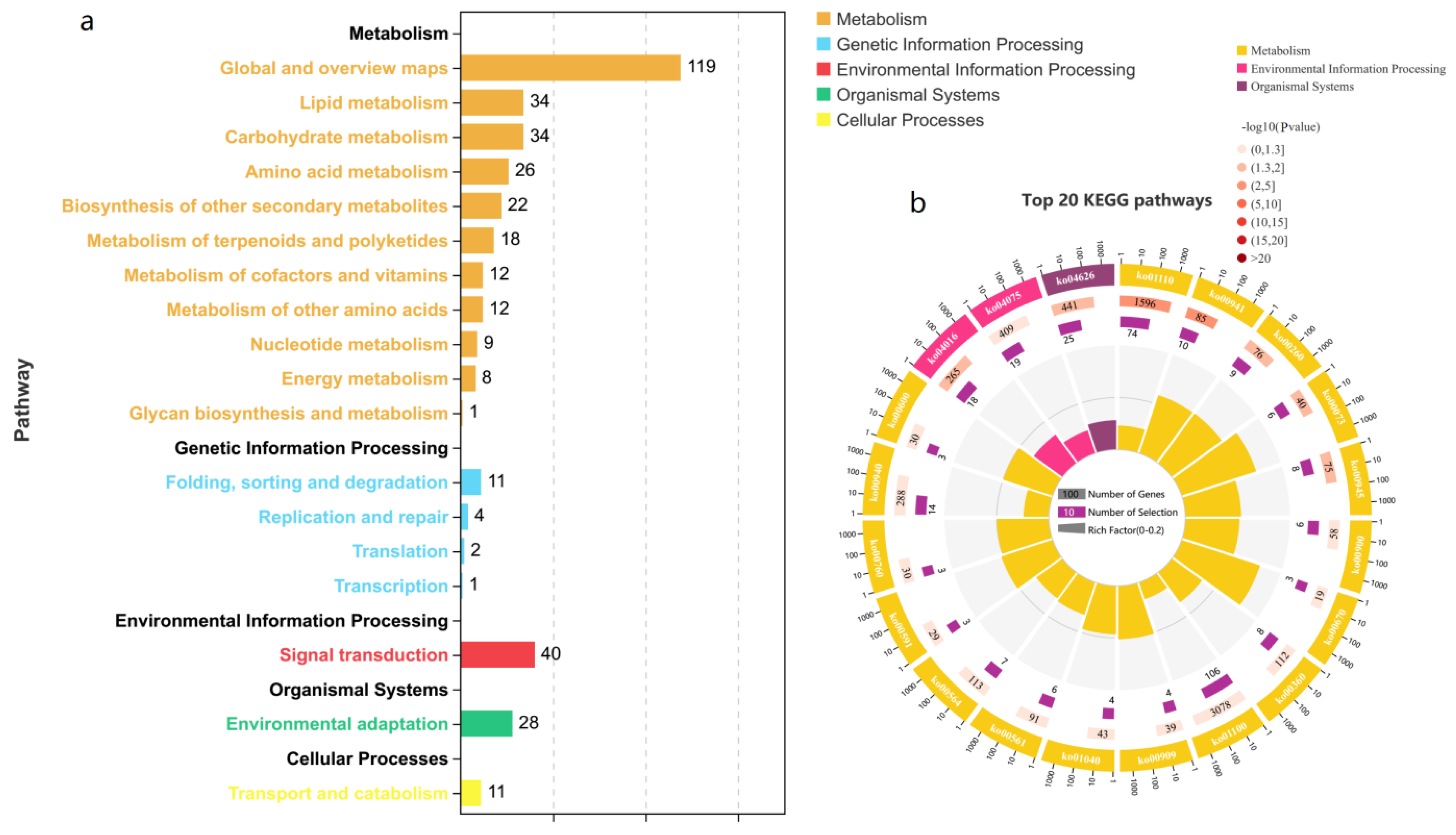 Ijms 23 04844 g007 Ijms 23 04844 g007