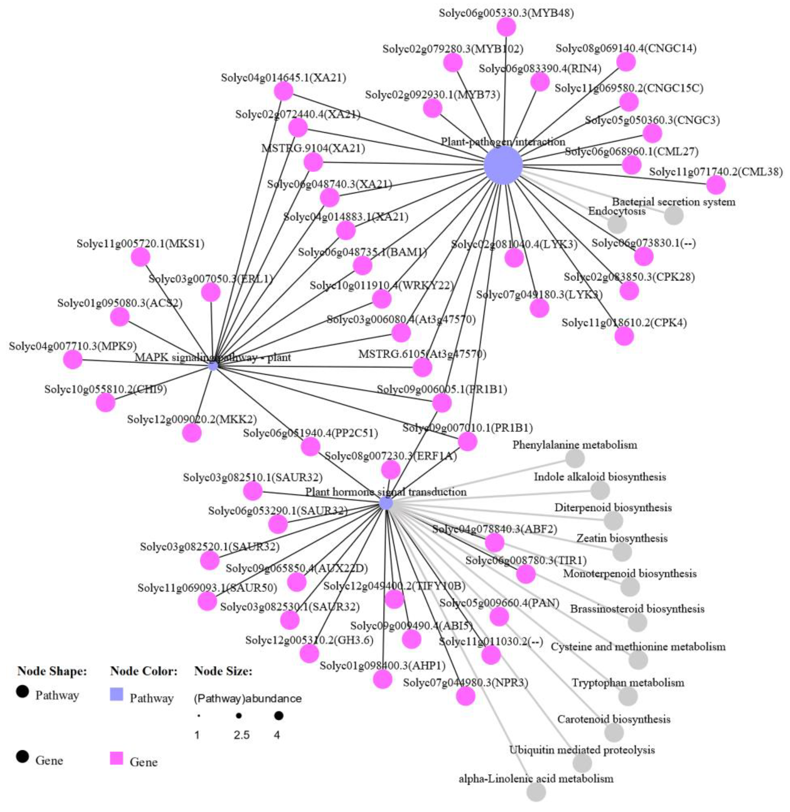 Ijms 23 04844 g008 Ijms 23 04844 g008