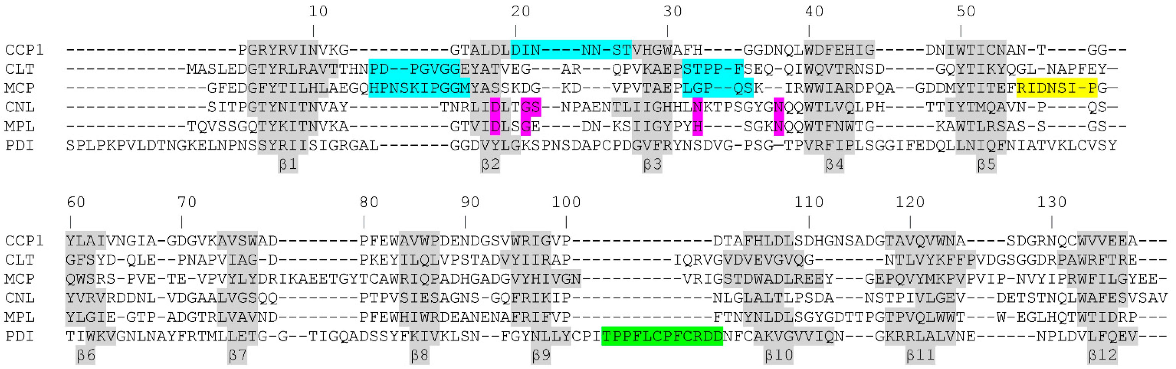 Ijms 23 04916 g004