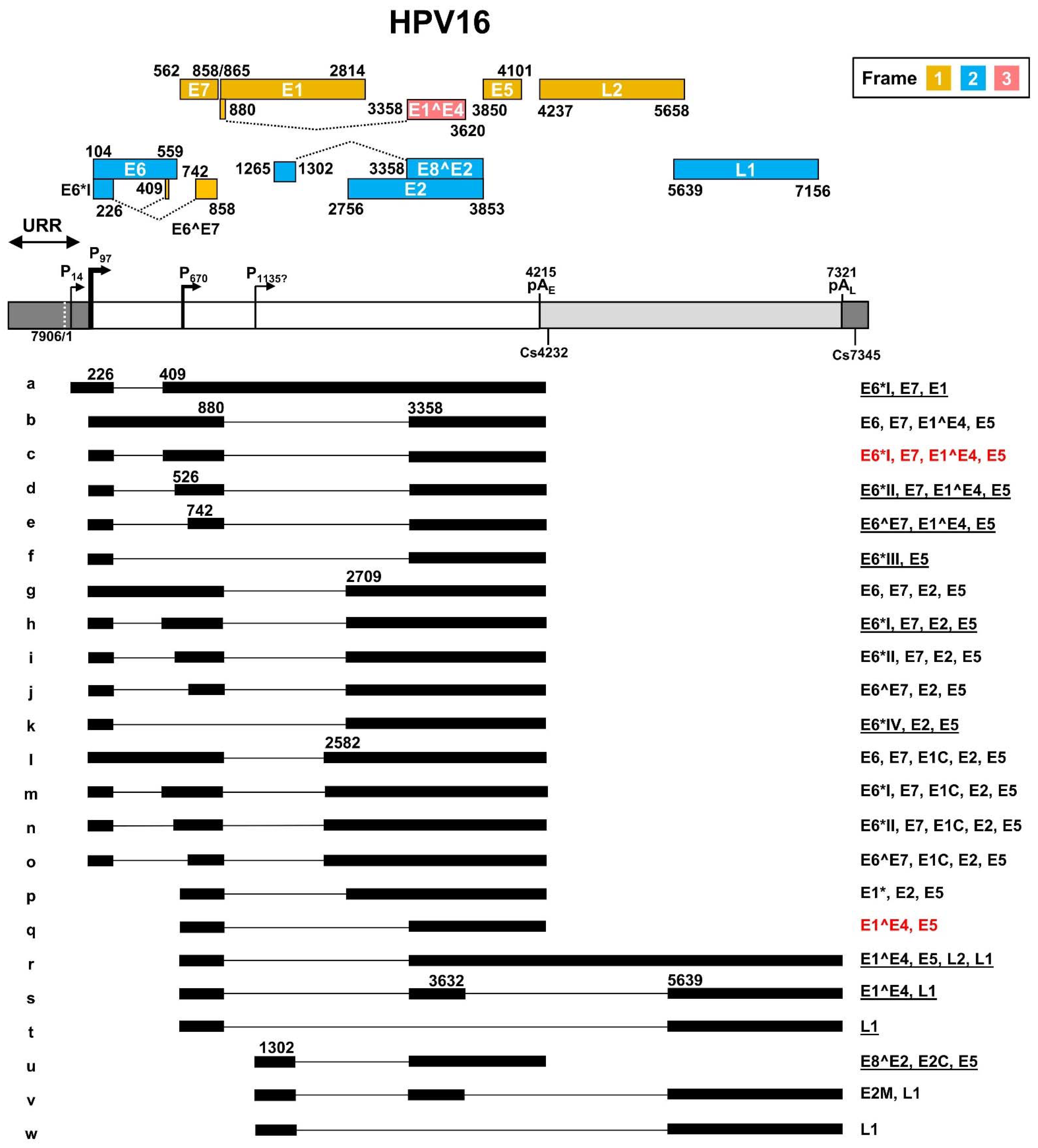 Ijms 23 04943 g003 Ijms 23 04943 g003