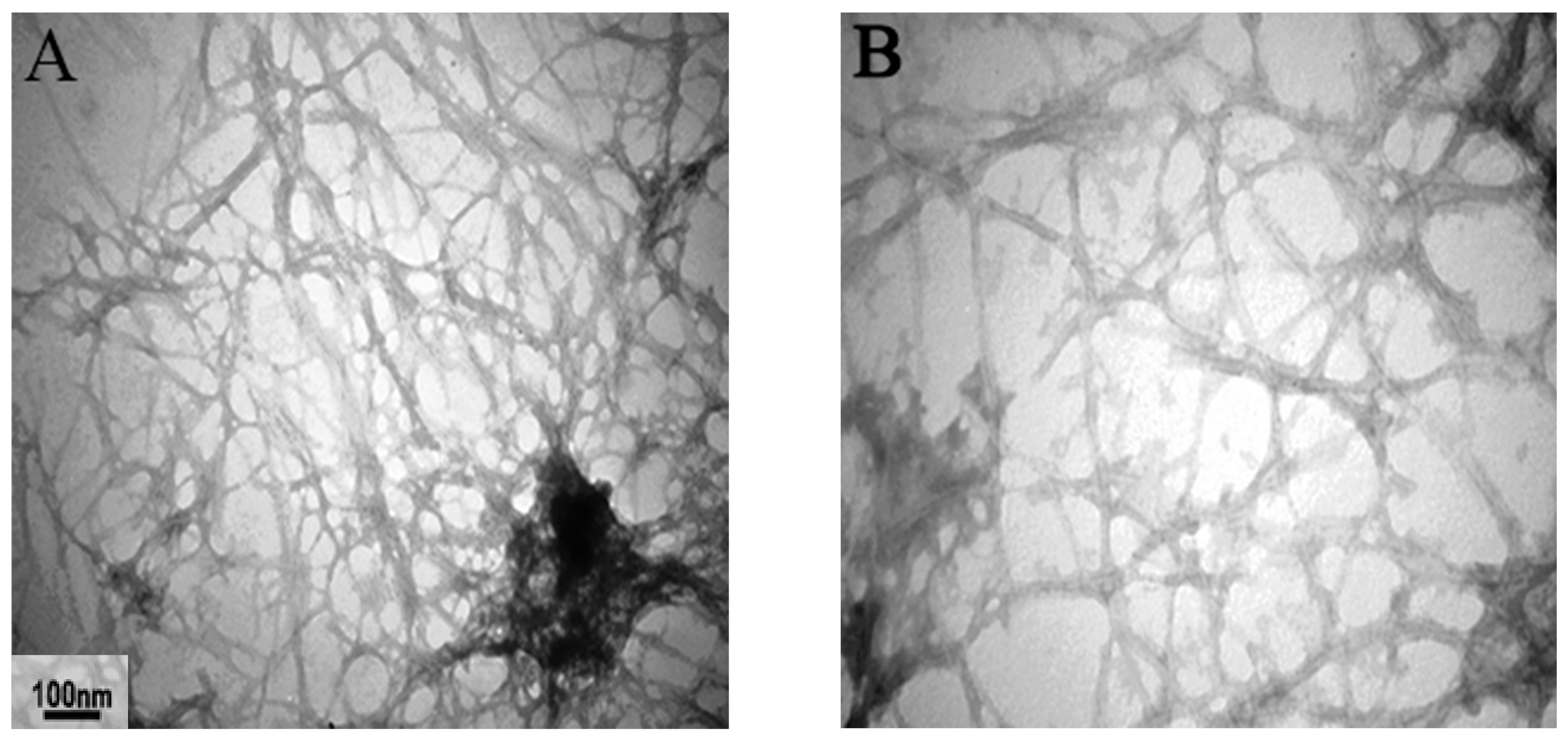 IJMS | Free Full-Text | Local Insulin-Derived Amyloidosis Model