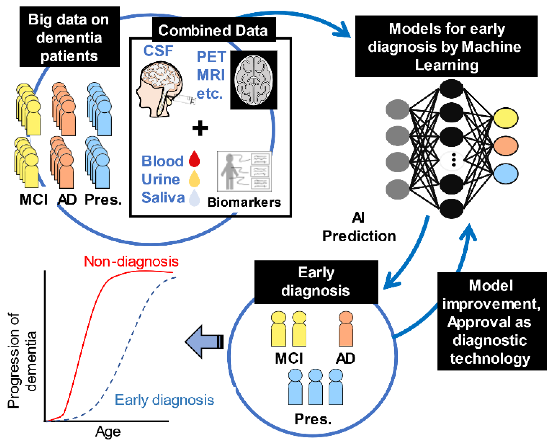 Ijms 23 04962 g003 Ijms 23 04962 g003