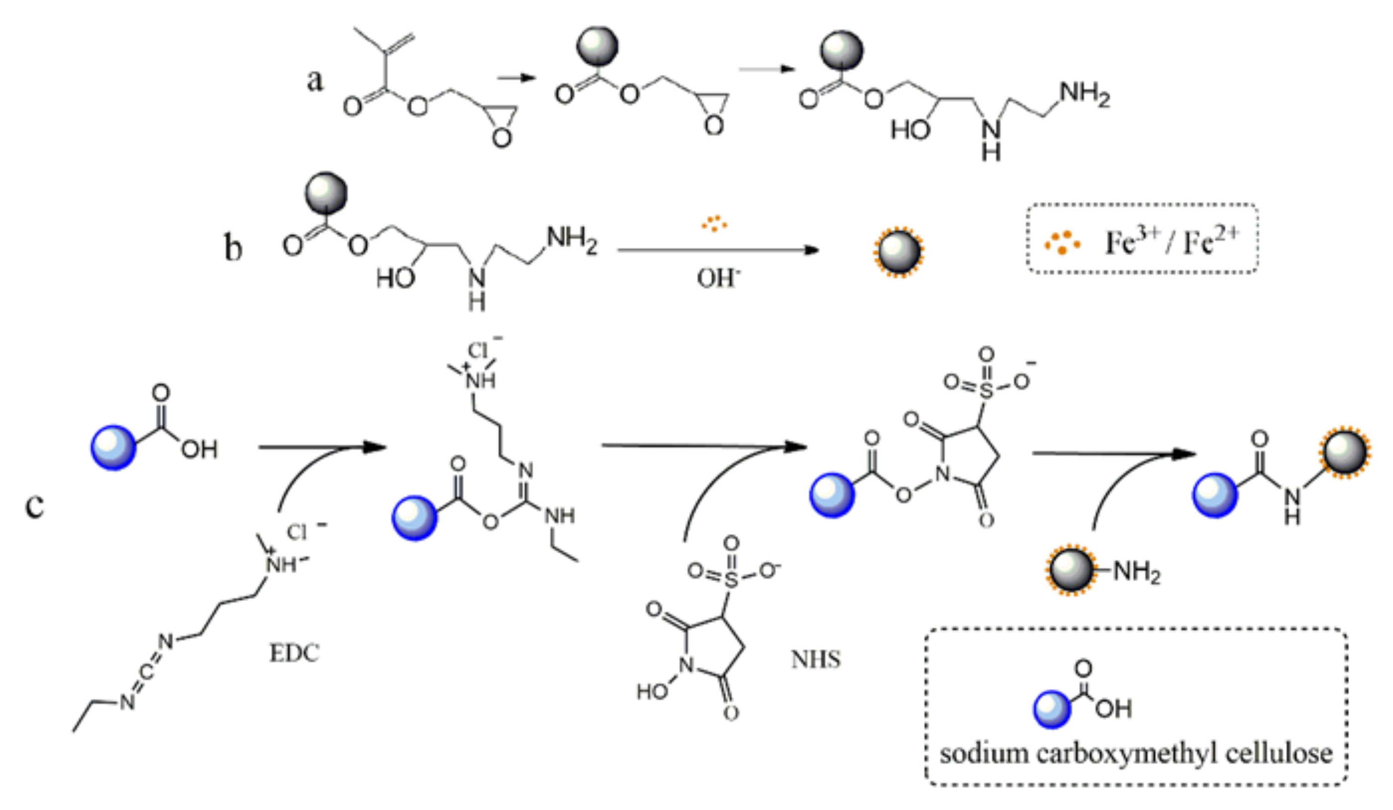 IJMS | Free Full-Text | Mono-Sized Anion-Exchange Magnetic Microspheres for  Protein Adsorption