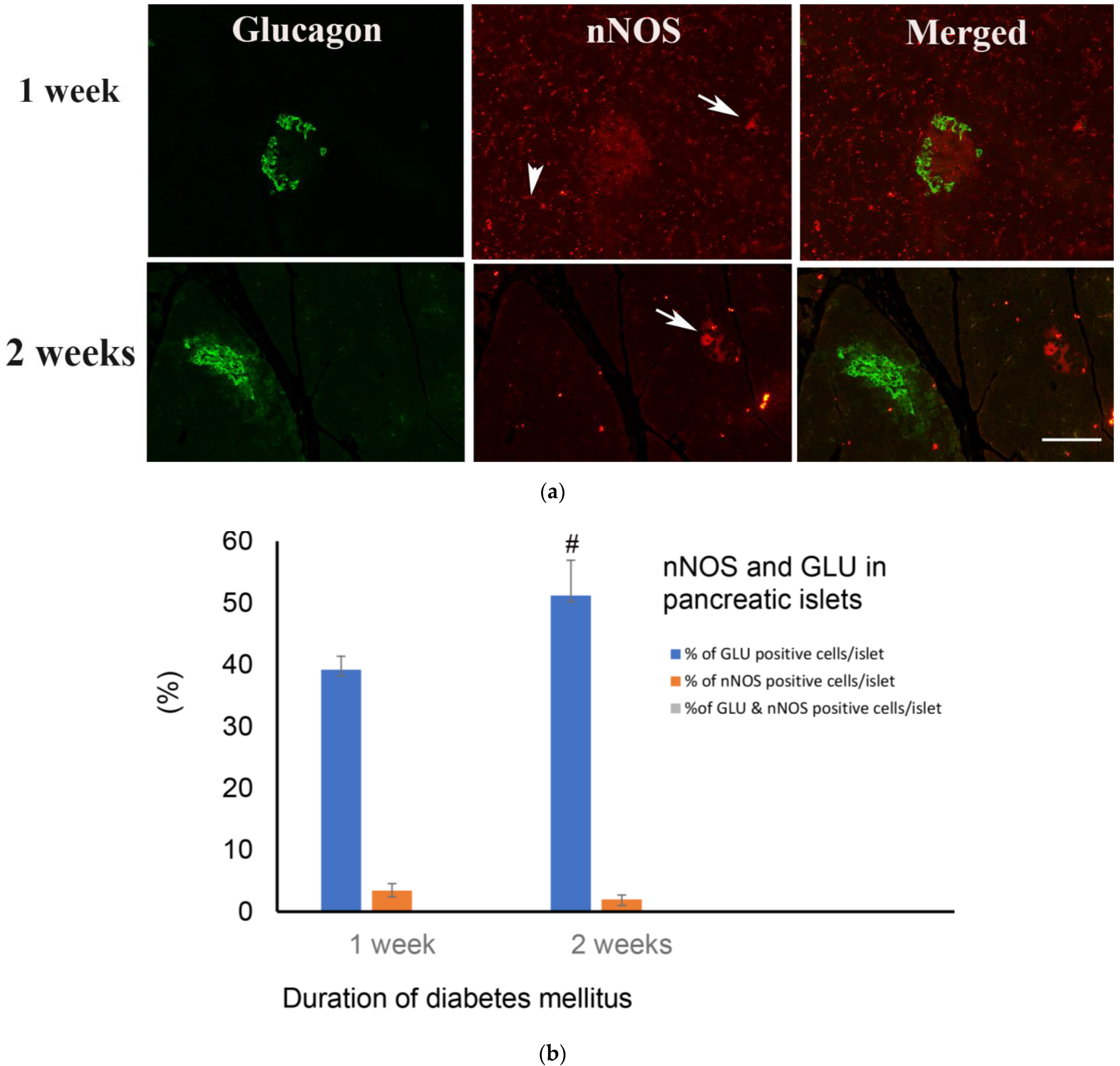 Ijms 23 04974 g007