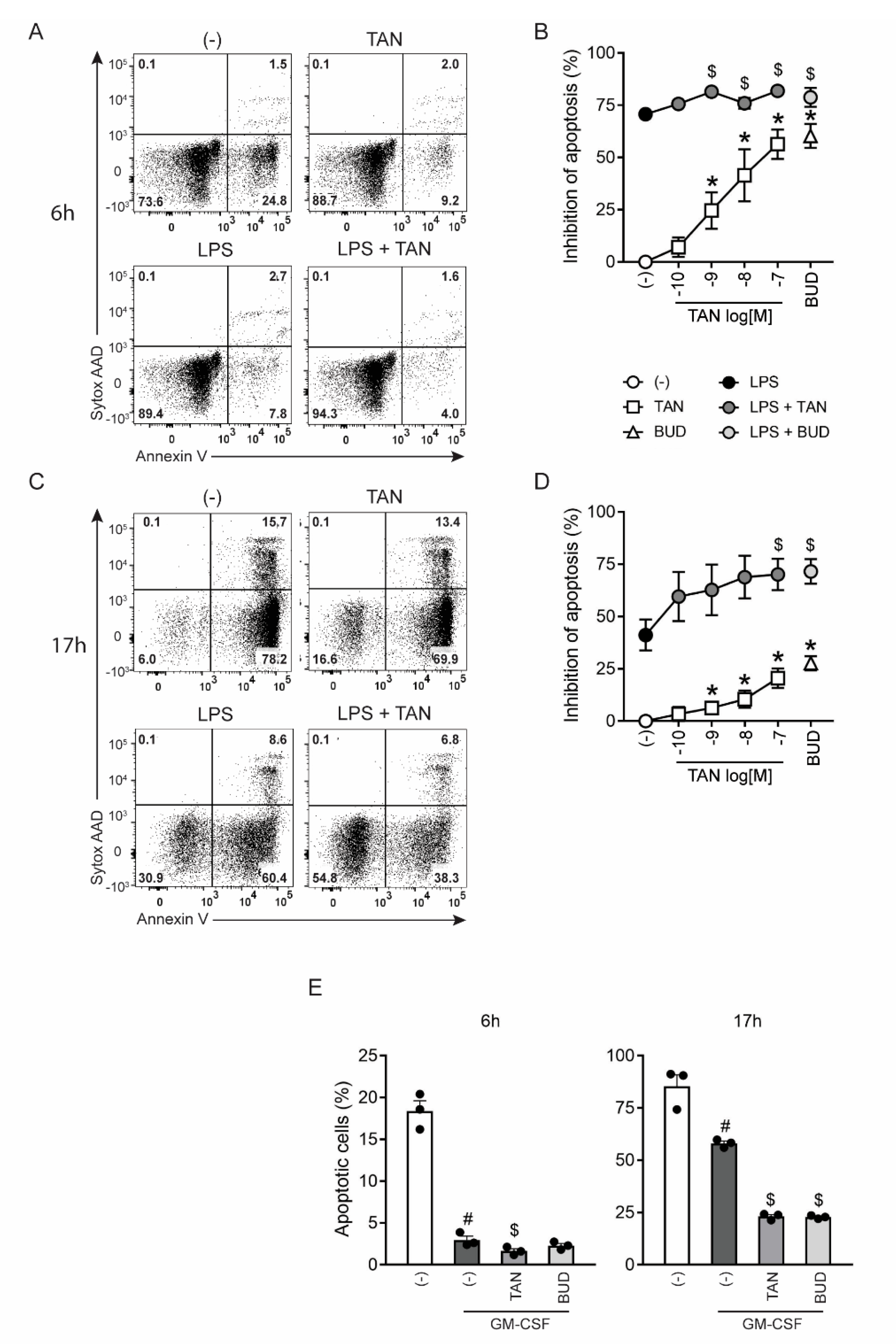 Ijms 23 04982 g006 Ijms 23 04982 g006