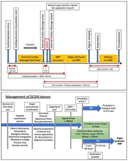 Frontiers  Thoracic organ machine perfusion: A review of concepts with a  focus on reconditioning therapies