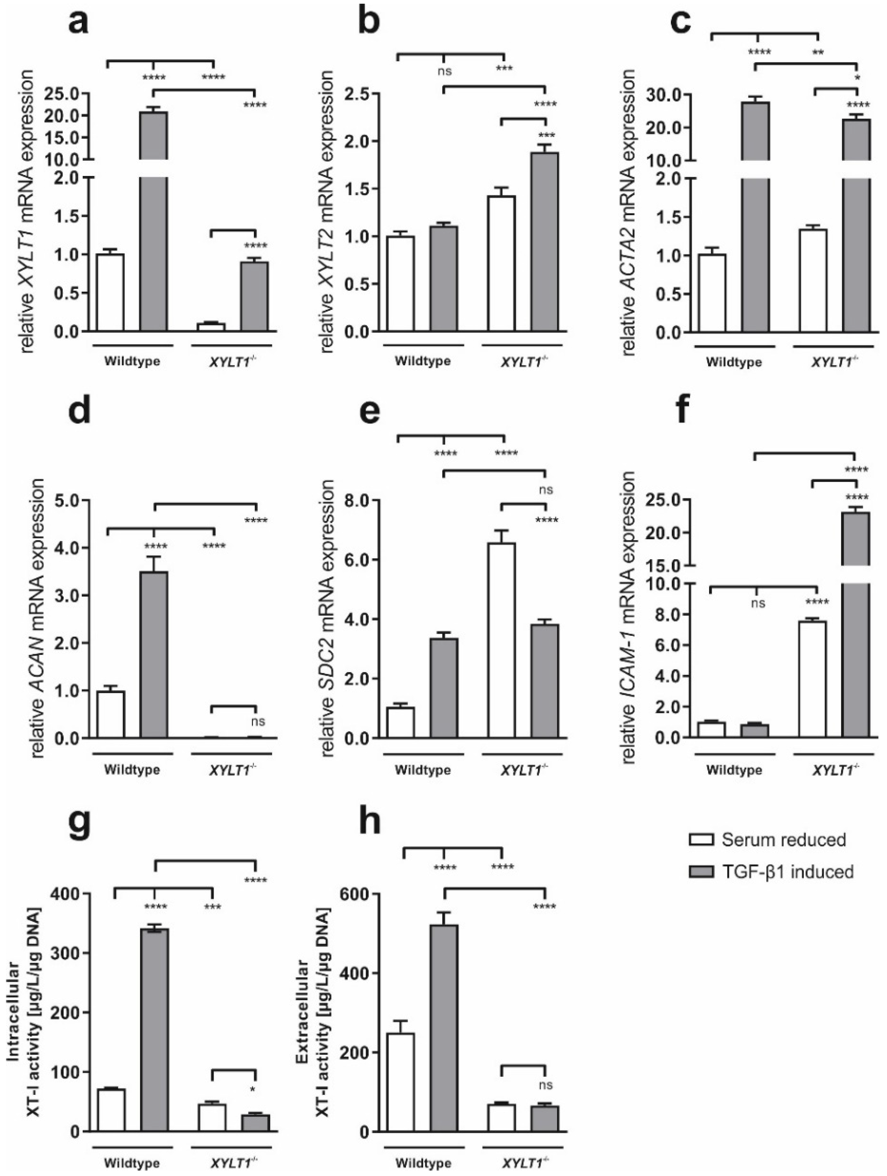 Ijms 23 05045 g003 Ijms 23 05045 g003