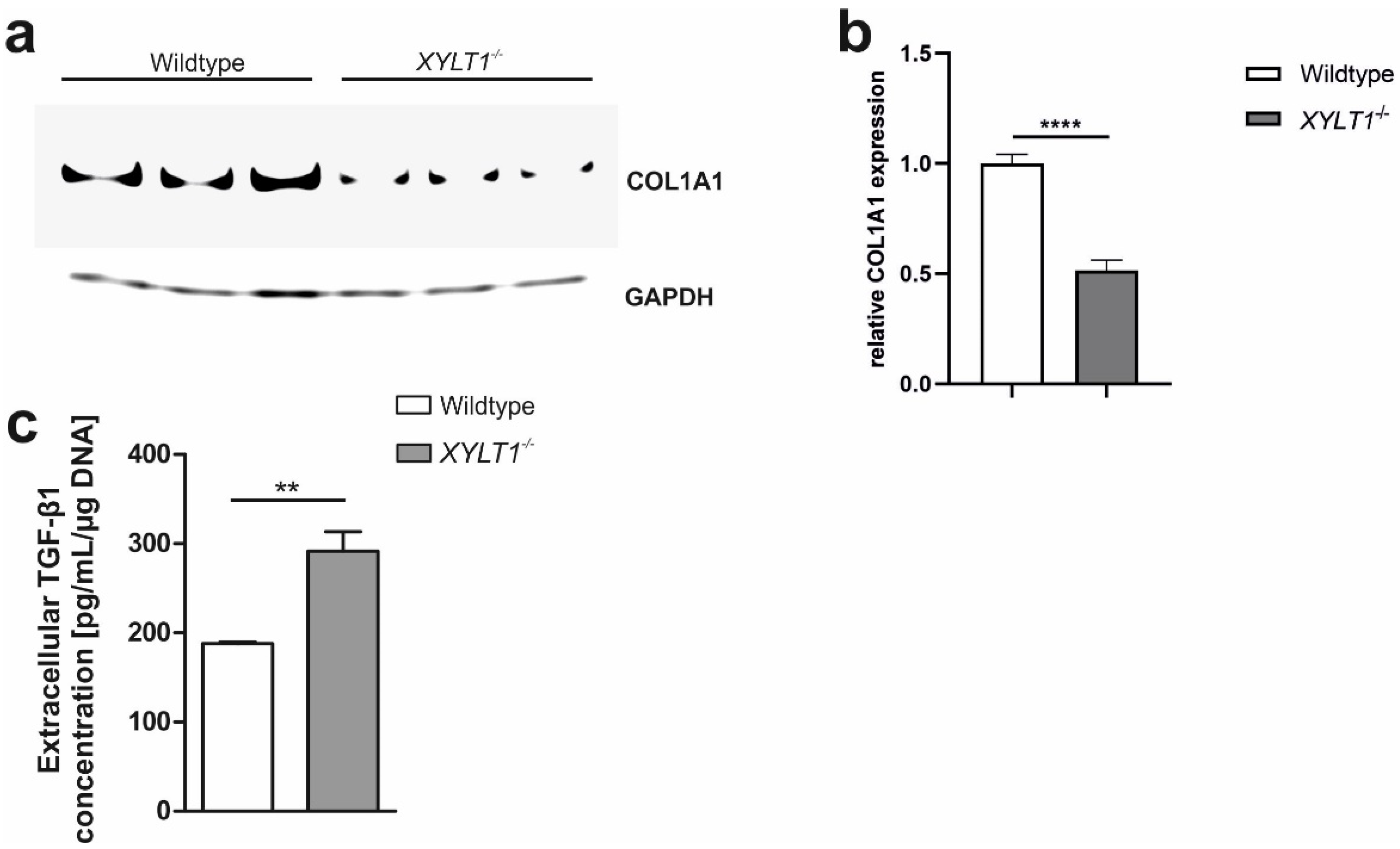 Ijms 23 05045 g005 Ijms 23 05045 g005