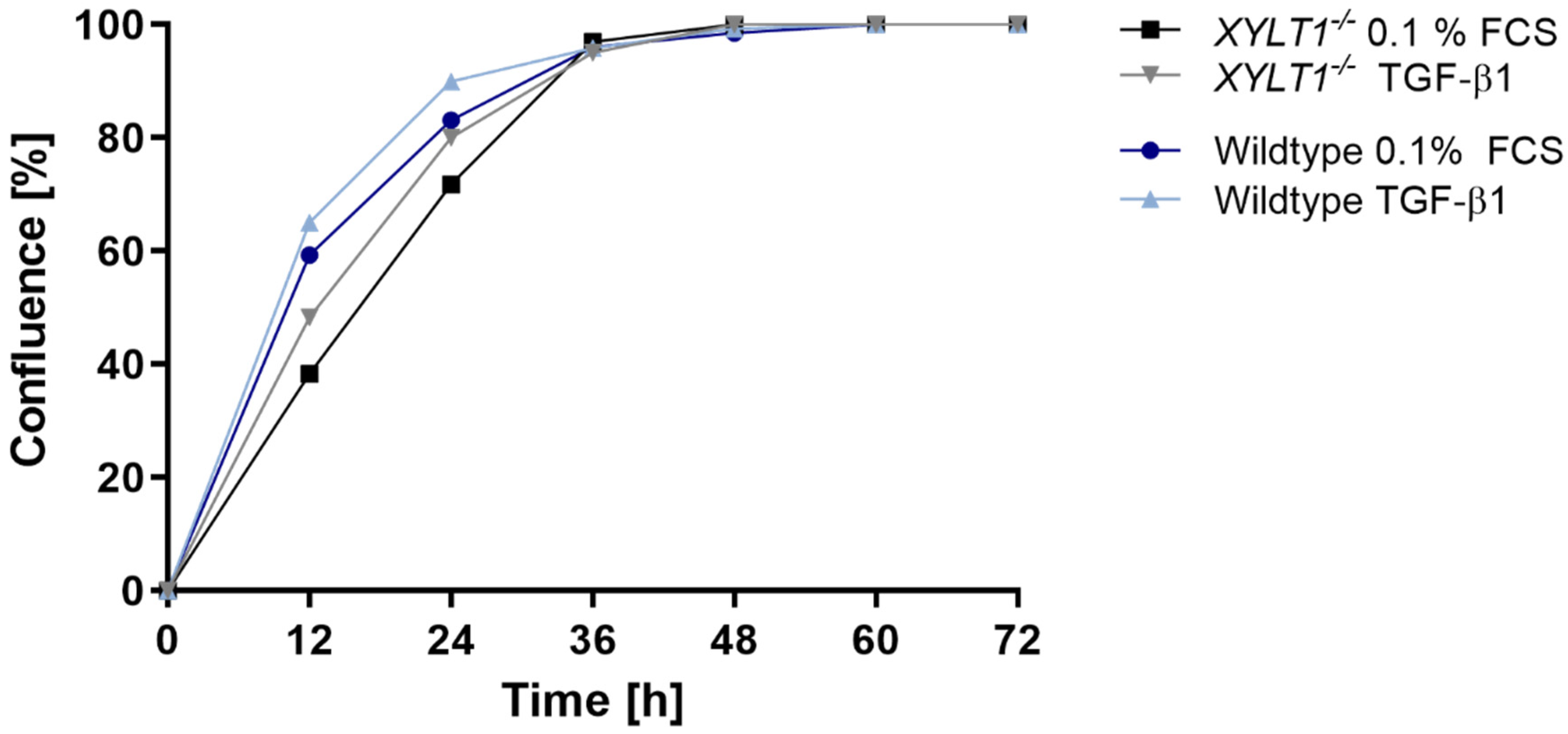 Ijms 23 05045 g006 Ijms 23 05045 g006