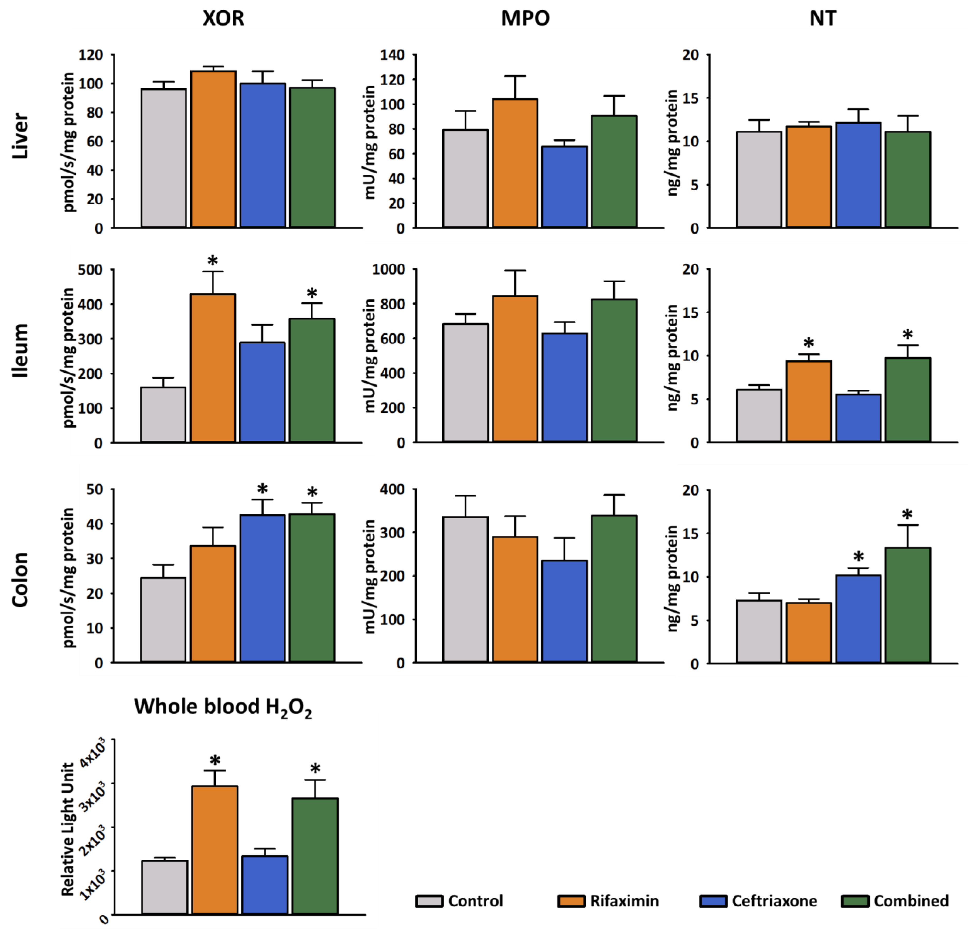 Ijms 23 05064 g003 Ijms 23 05064 g003