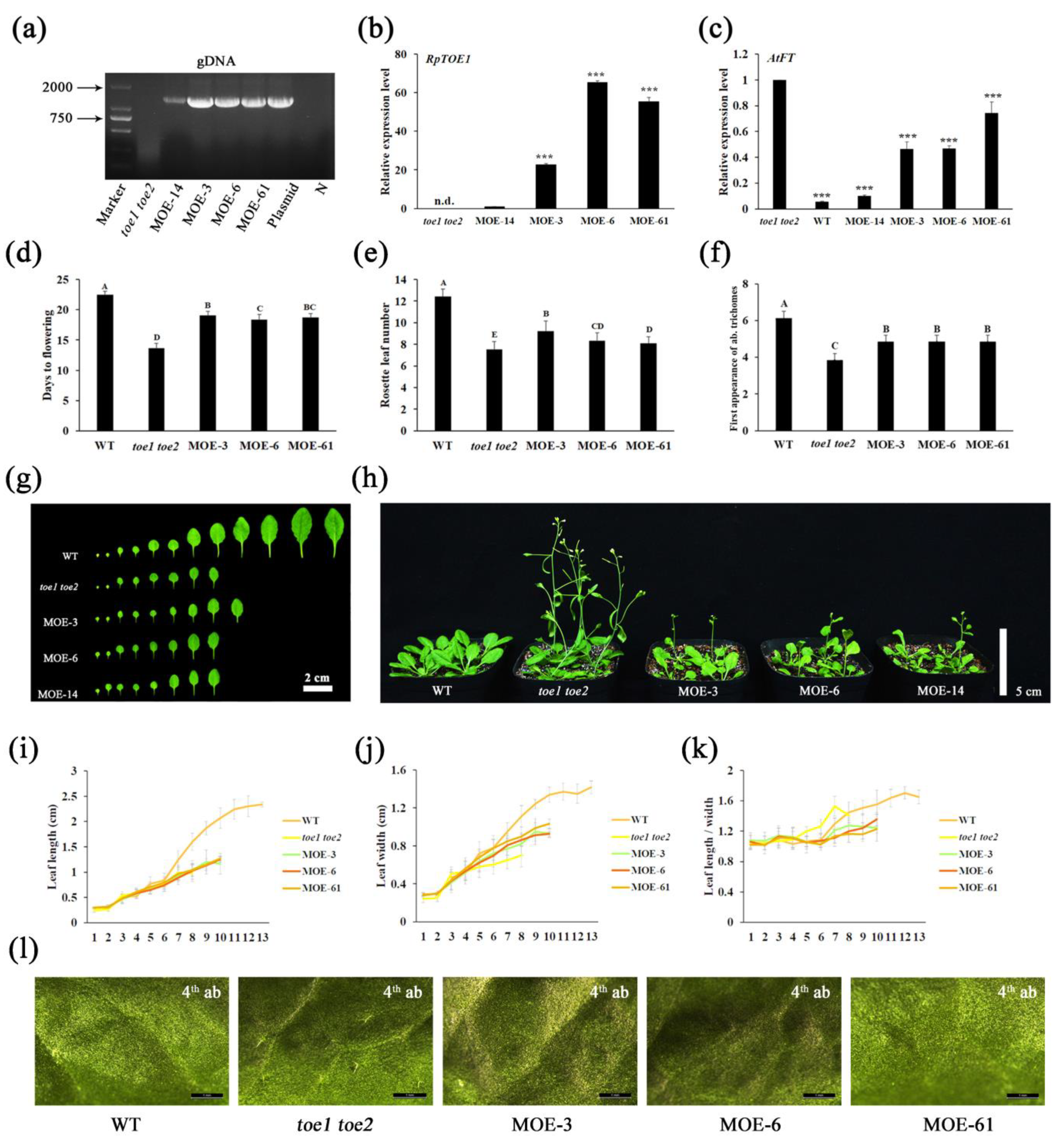 Ijms 23 05079 g004 Ijms 23 05079 g004