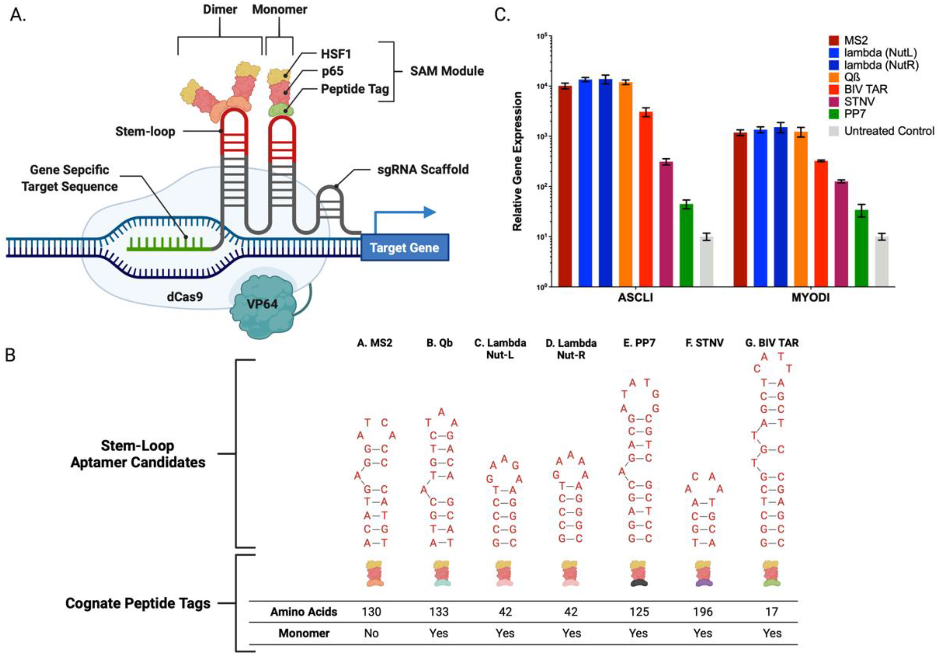 Ijms 23 05090 g001 Ijms 23 05090 g001