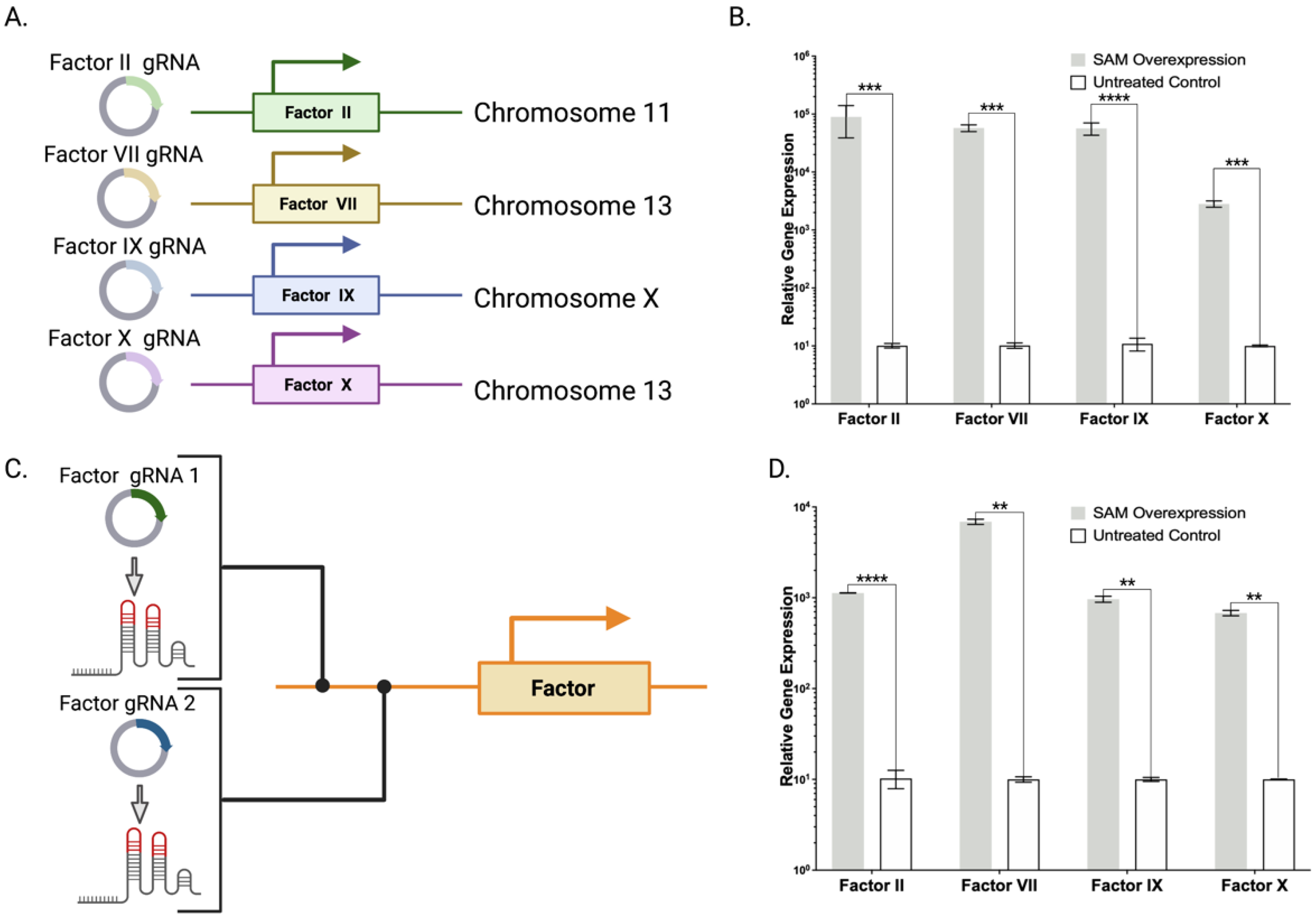 Ijms 23 05090 g002 Ijms 23 05090 g002