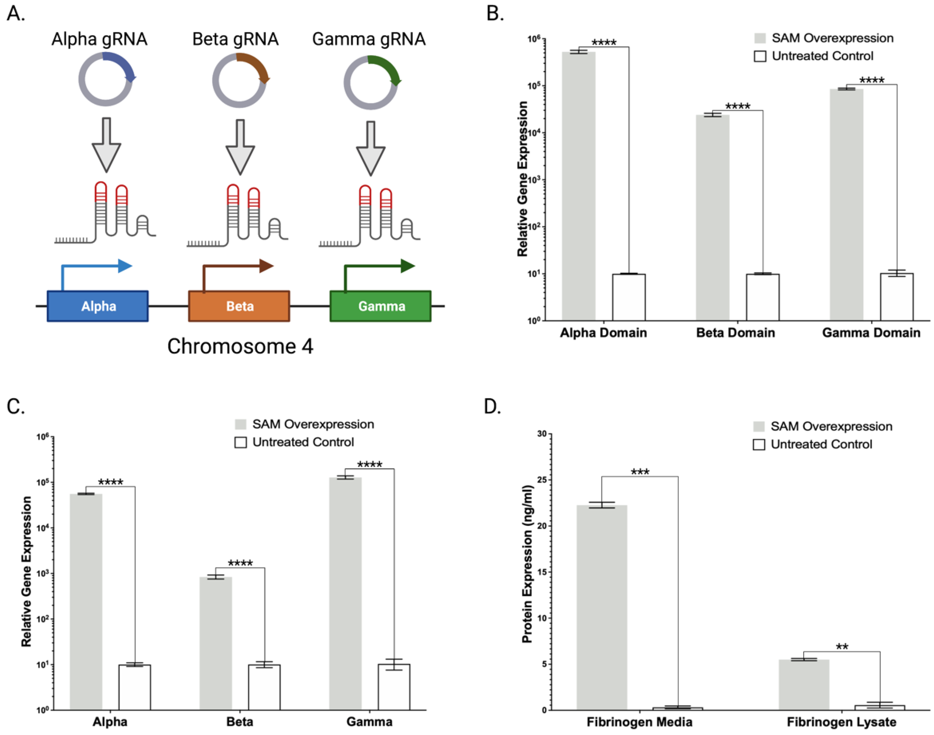 Ijms 23 05090 g005 Ijms 23 05090 g005