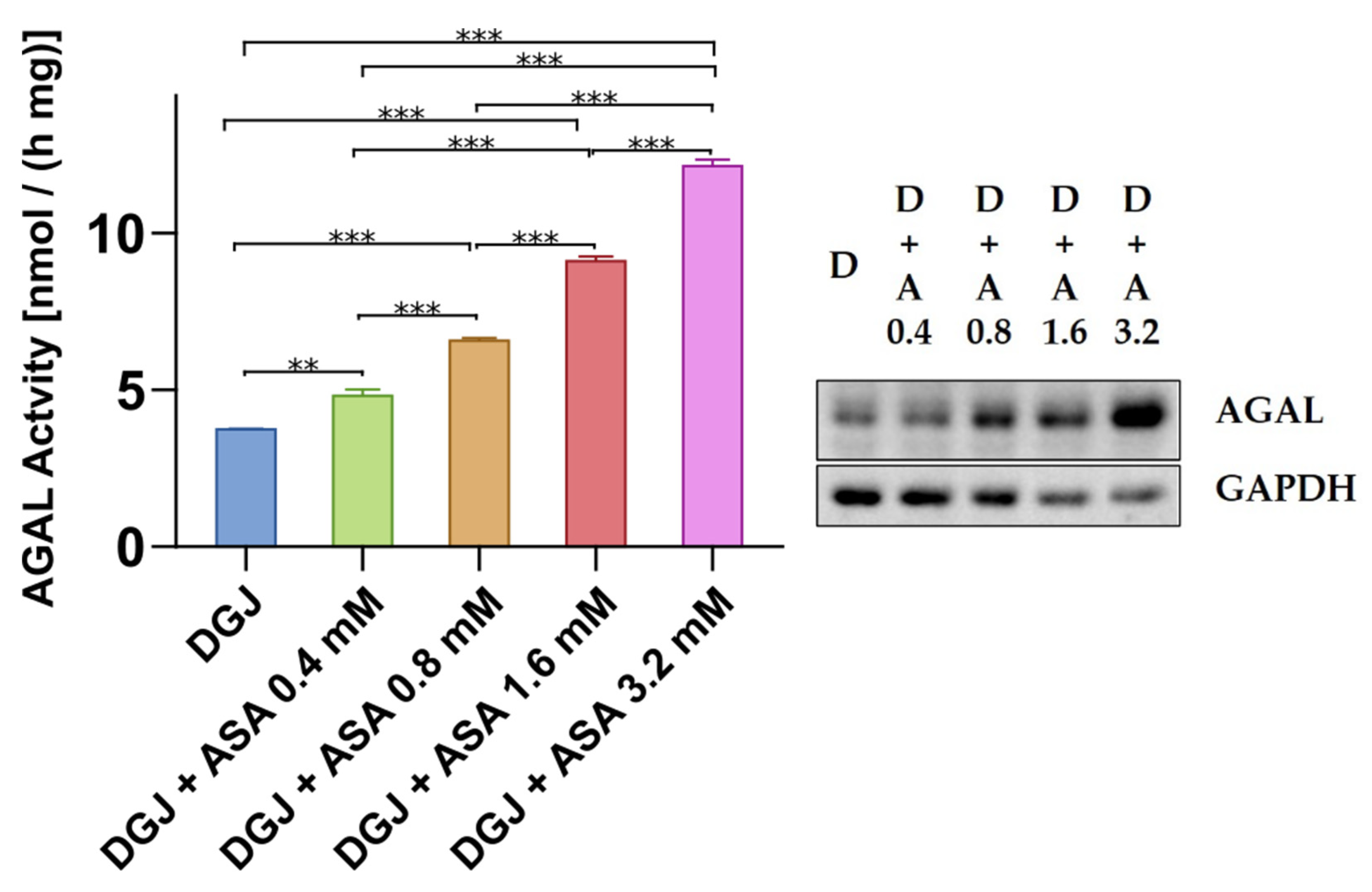 Ijms 23 05105 g006 Ijms 23 05105 g006