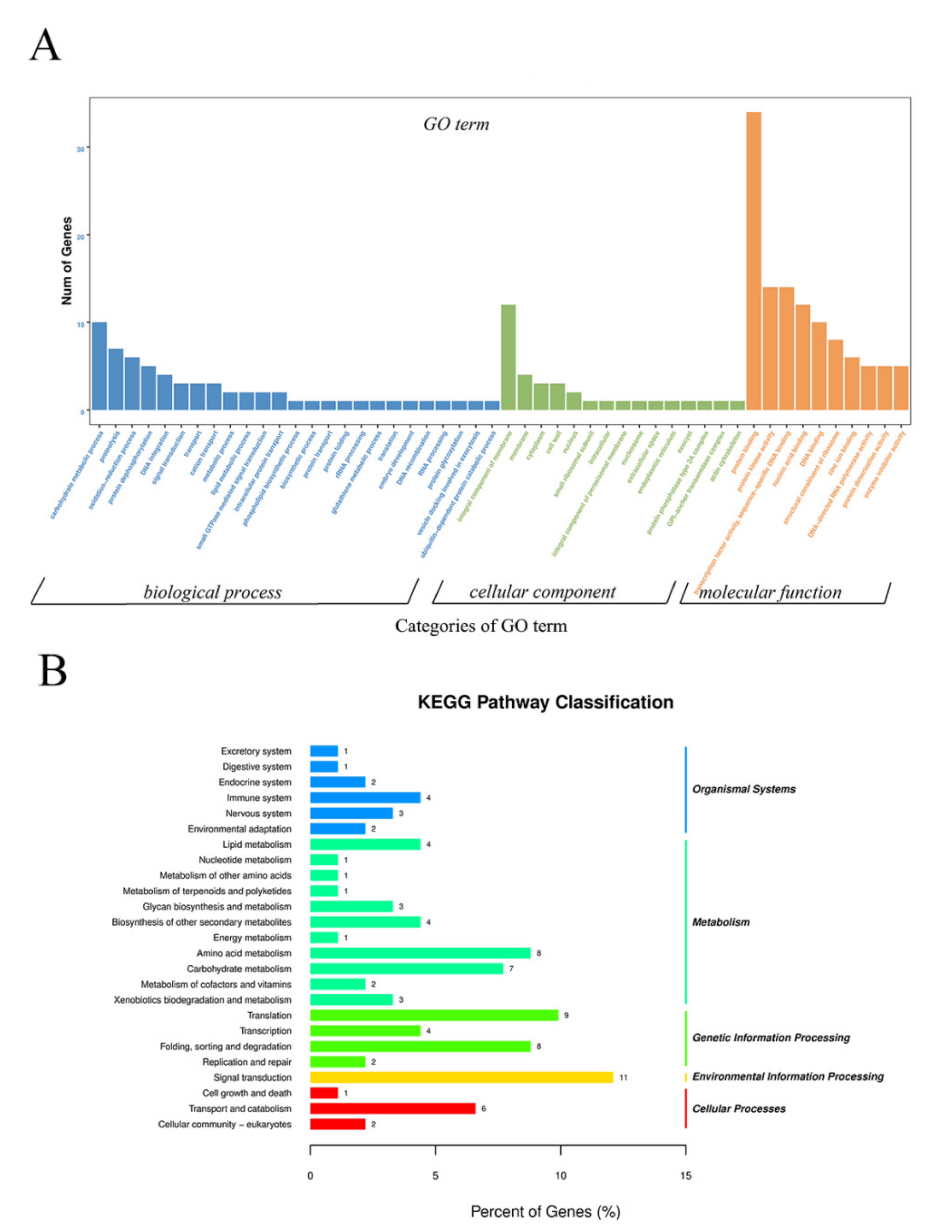 Ijms 23 05147 g005 Ijms 23 05147 g005