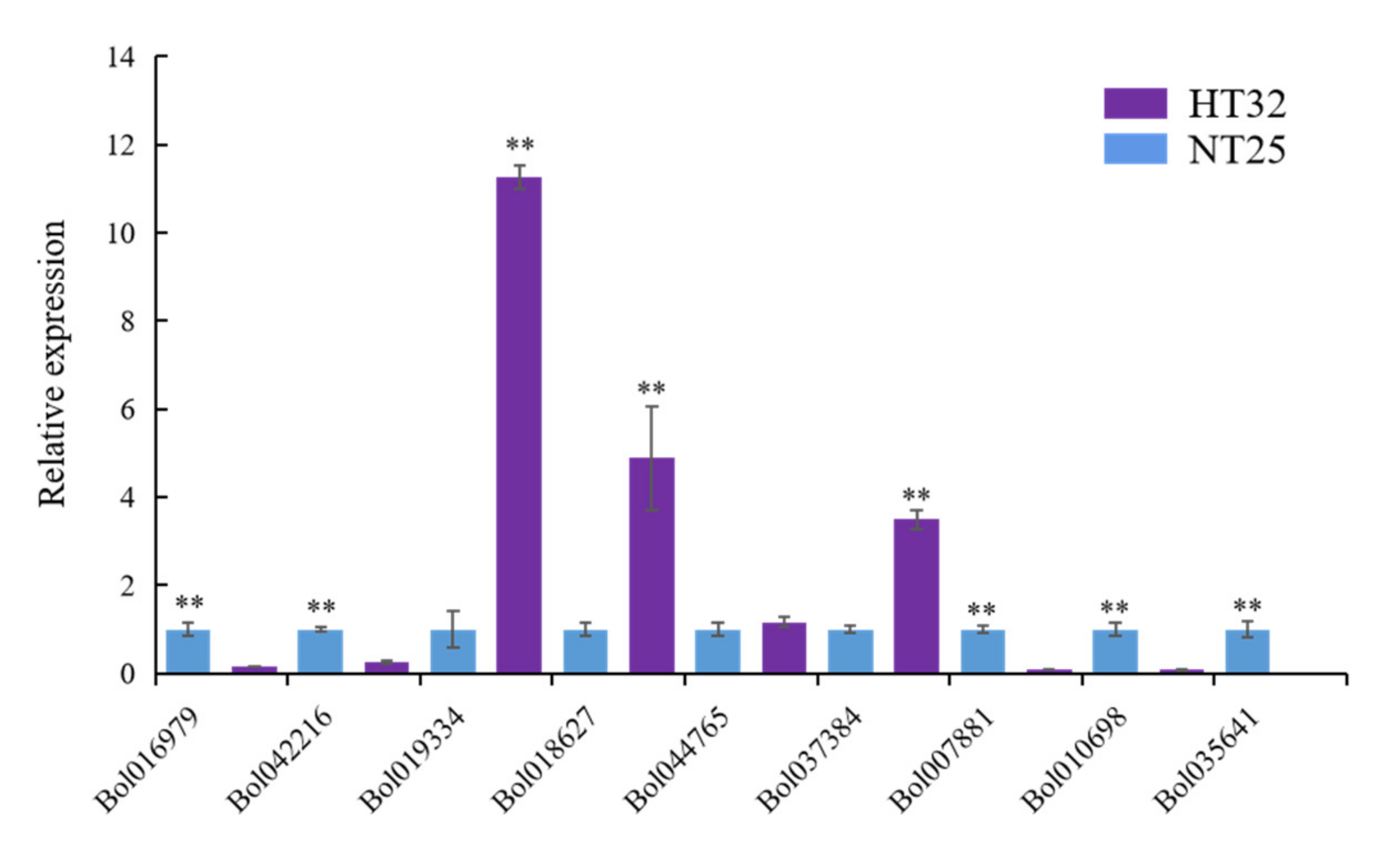 Ijms 23 05147 g007 Ijms 23 05147 g007