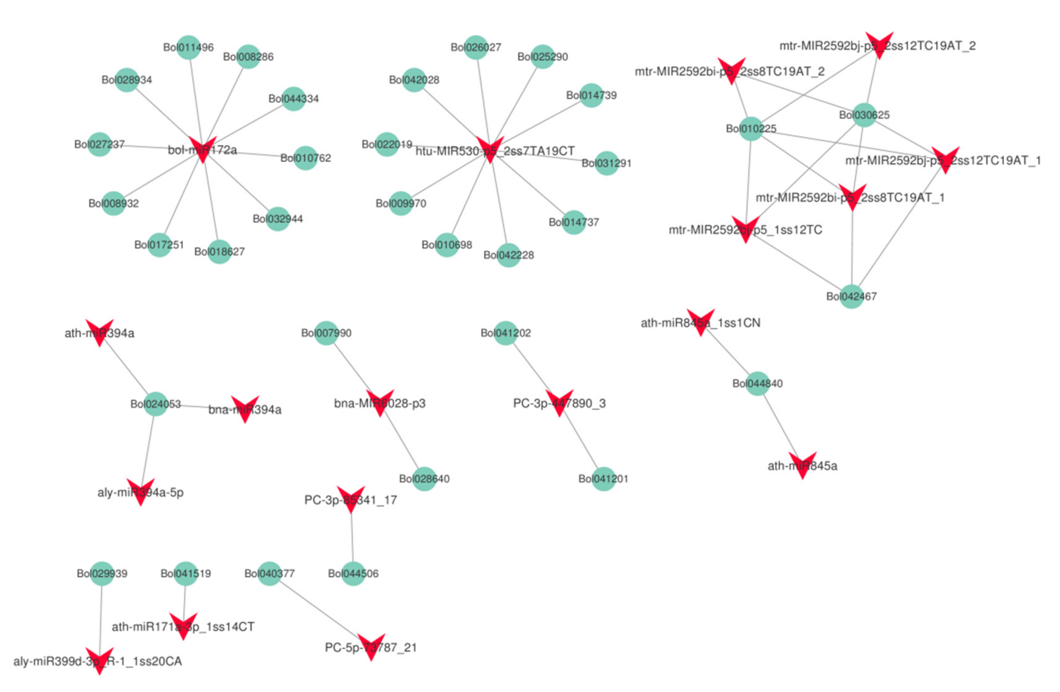 Ijms 23 05147 g008 Ijms 23 05147 g008