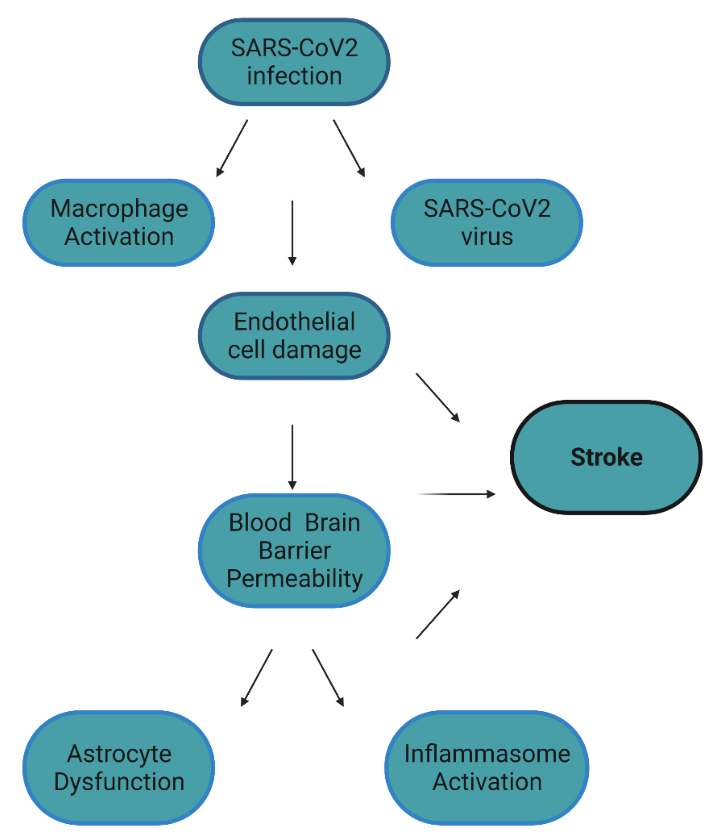 IJMS | Free Full-Text | Shared Inflammatory Pathology of Stroke and  COVID-19 | HTML