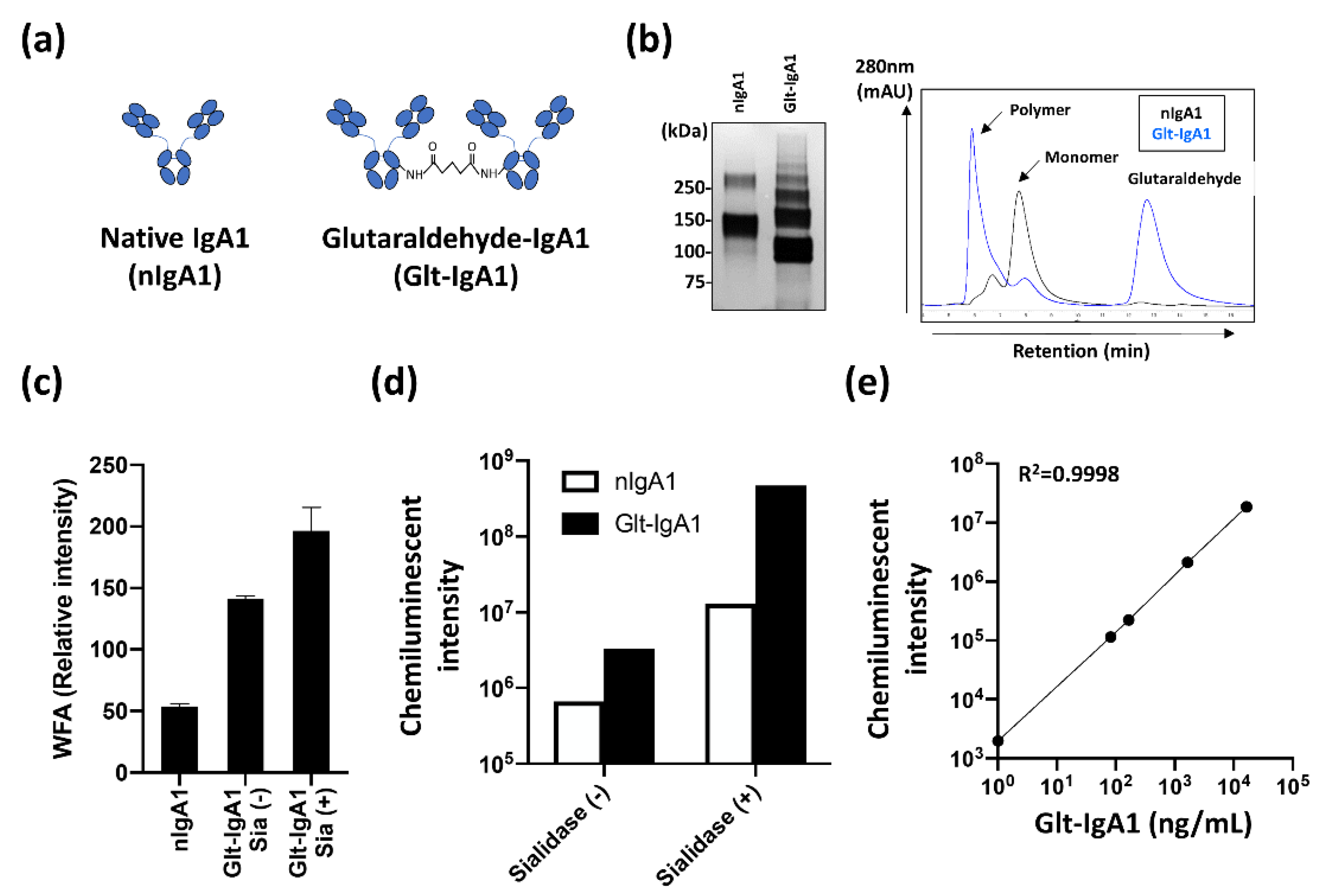Ijms 23 05165 g003 Ijms 23 05165 g003